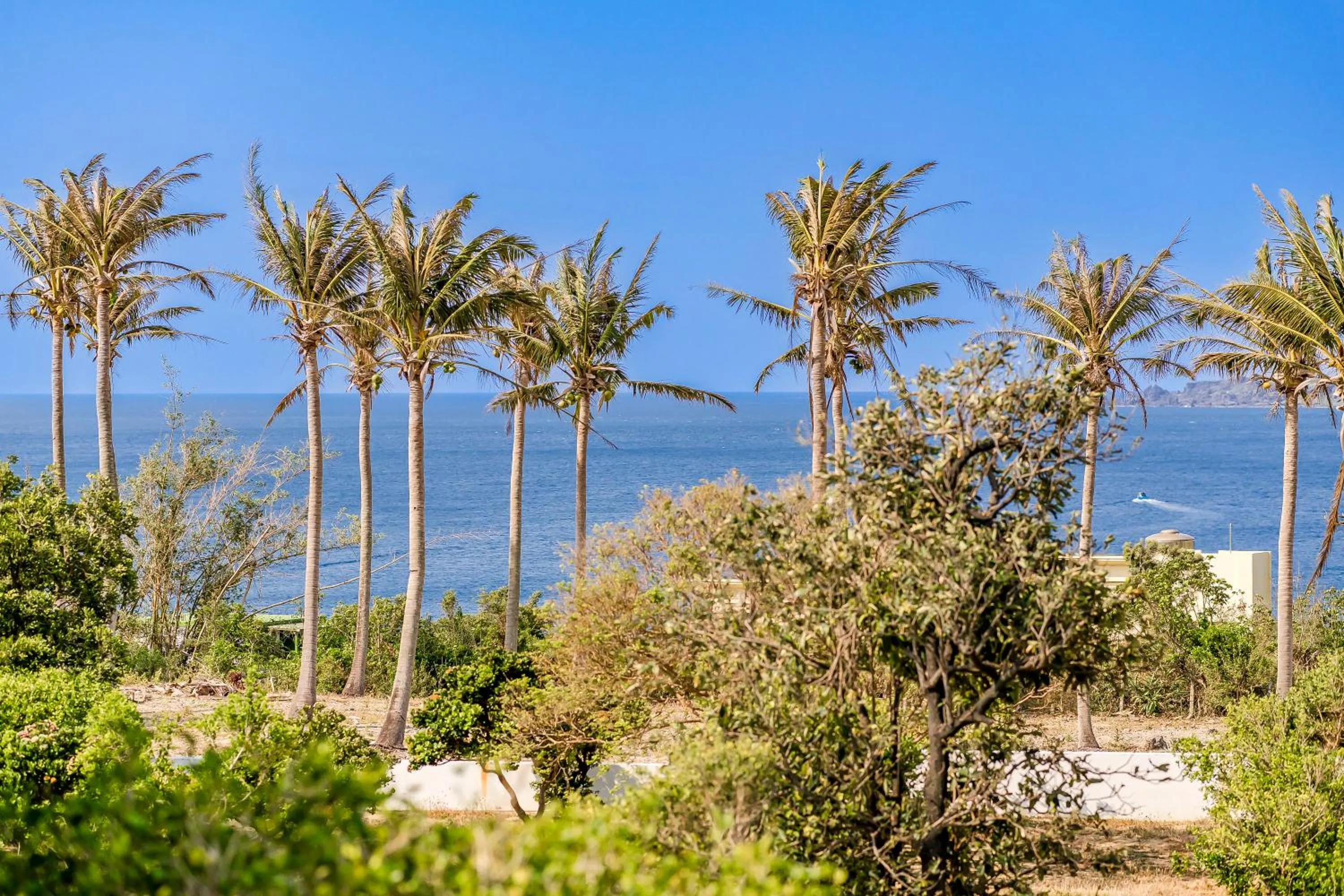 Sea view in Southern Sun Homestay North