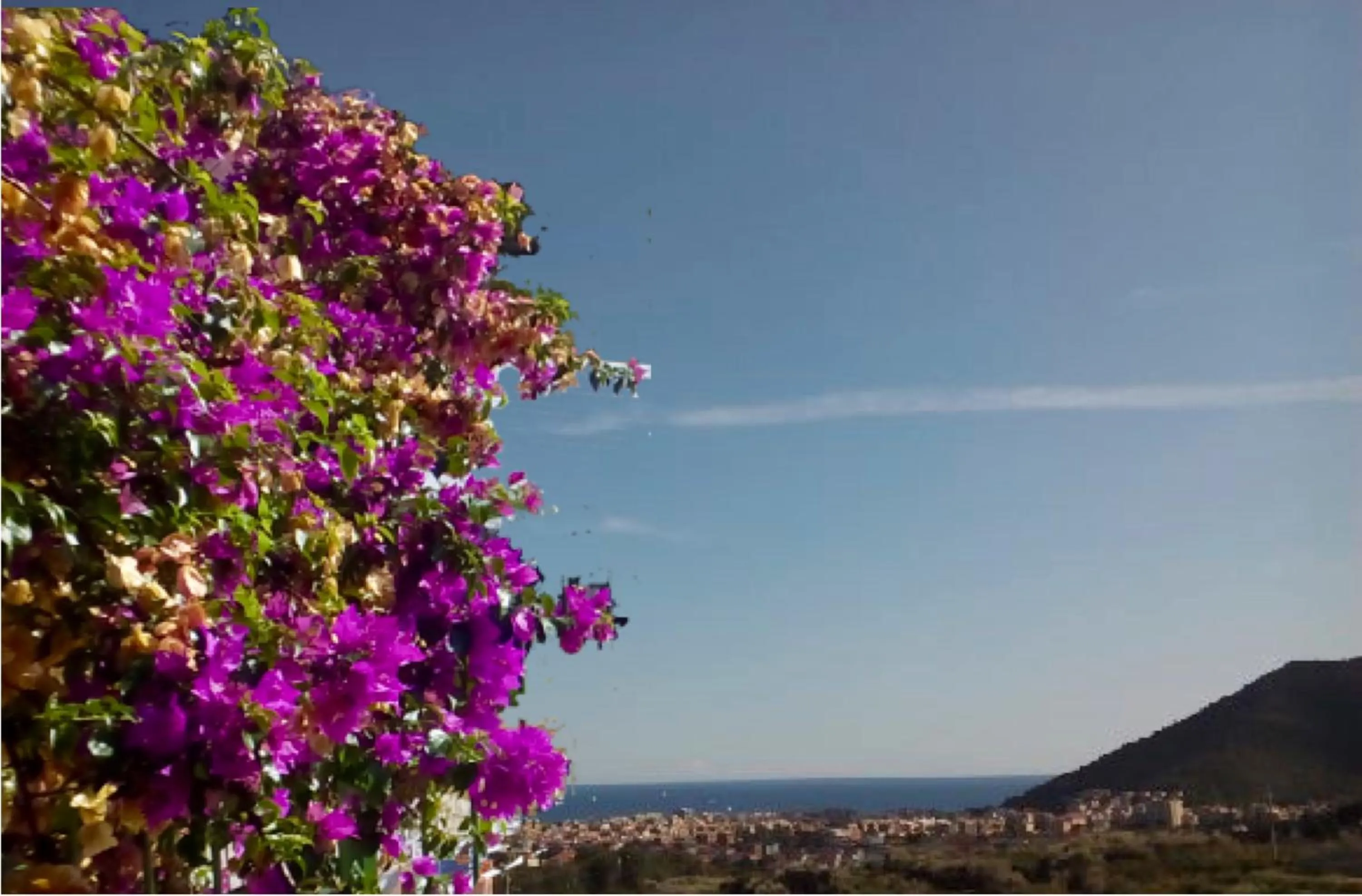 Sea view in Il Pittore di Stelle B&B