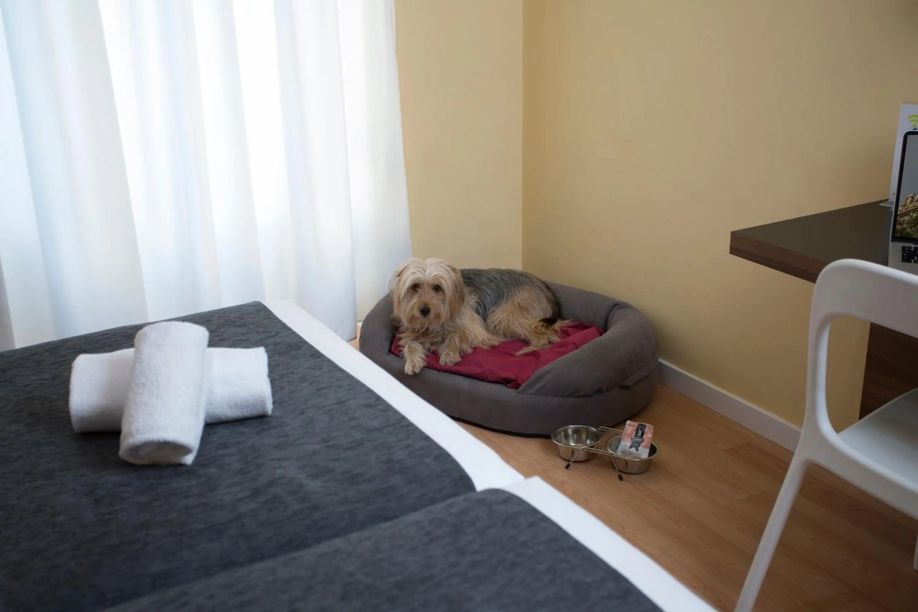 Pets, Bed in Casual del Cine Valencia