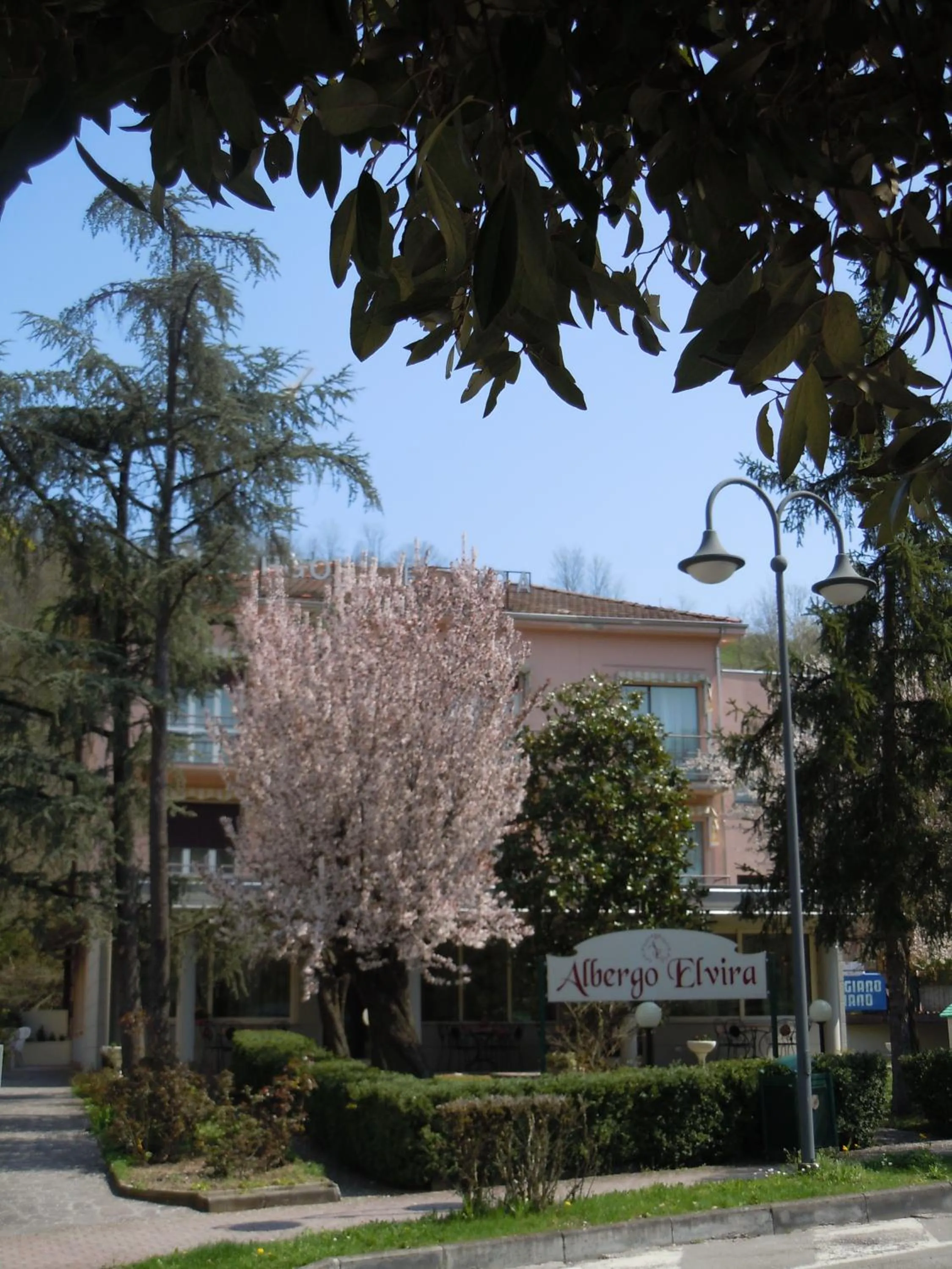 Garden in Albergo Elvira