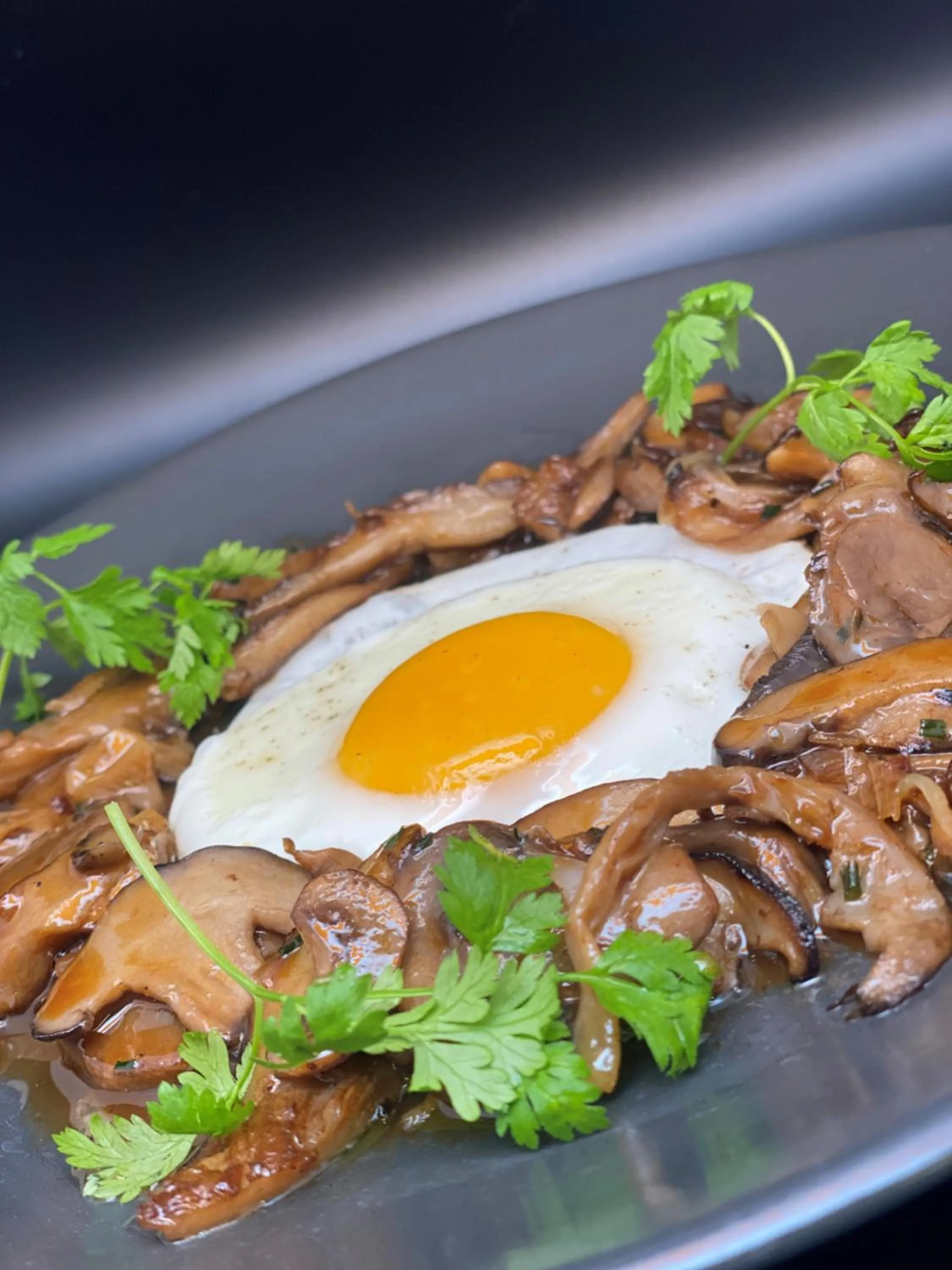 Restaurant/places to eat in Mercure Orléans Centre Bords de Loire