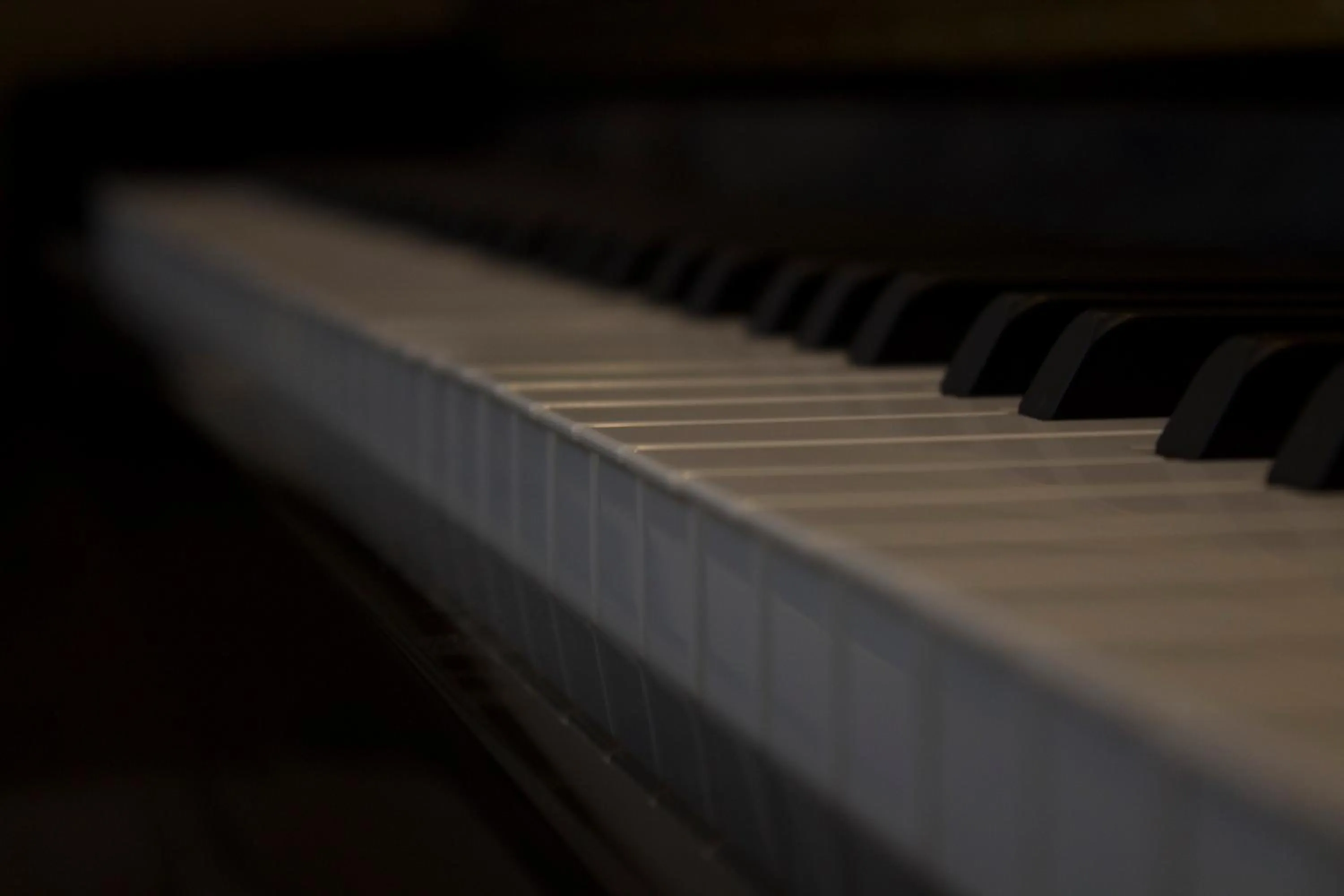 Lounge or bar in Fiori Hotel