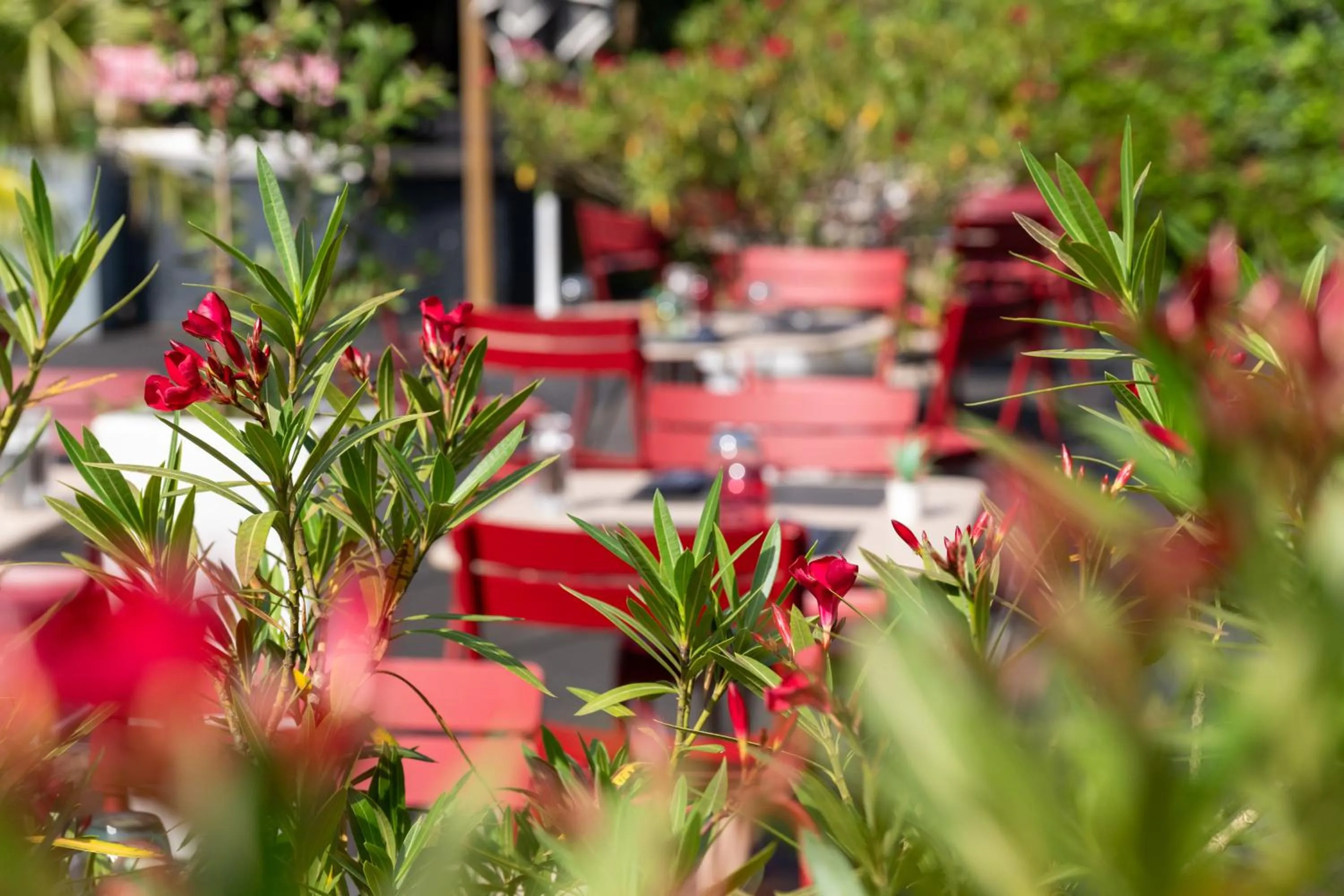 Patio in Novotel Grenoble Nord Voreppe