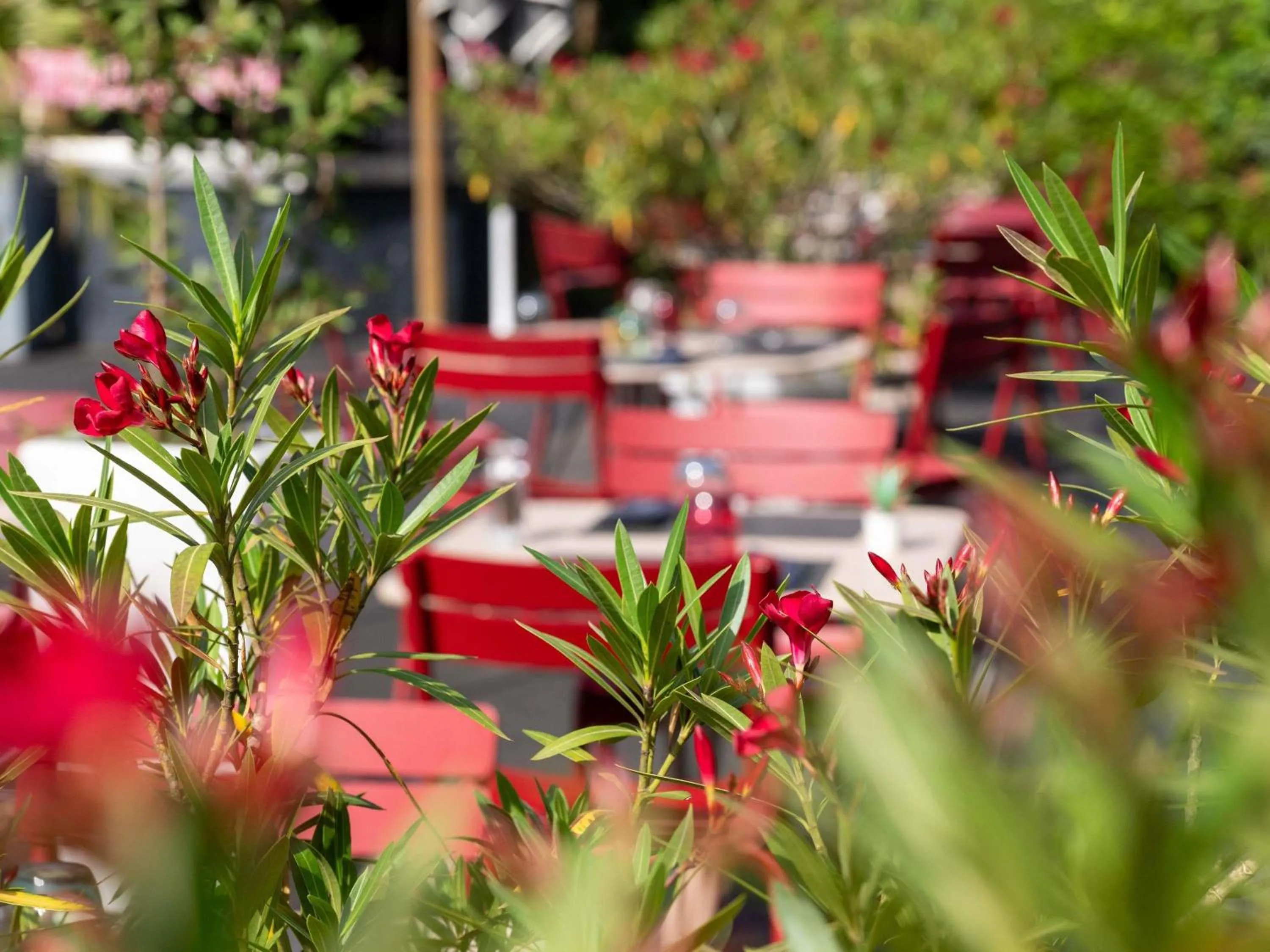 Restaurant/places to eat in Novotel Grenoble Nord Voreppe