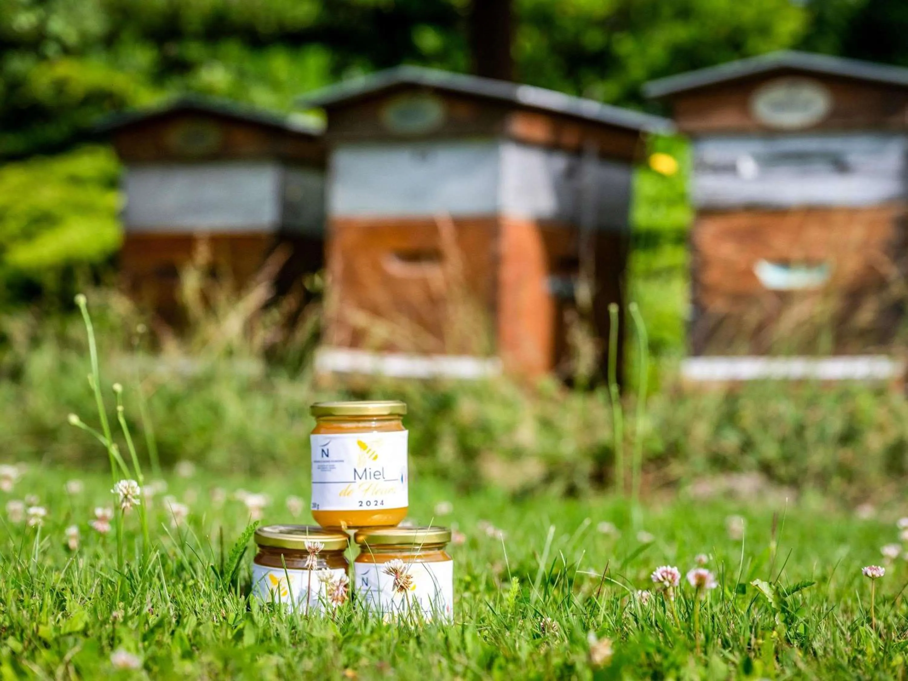 Other in Novotel Grenoble Nord Voreppe