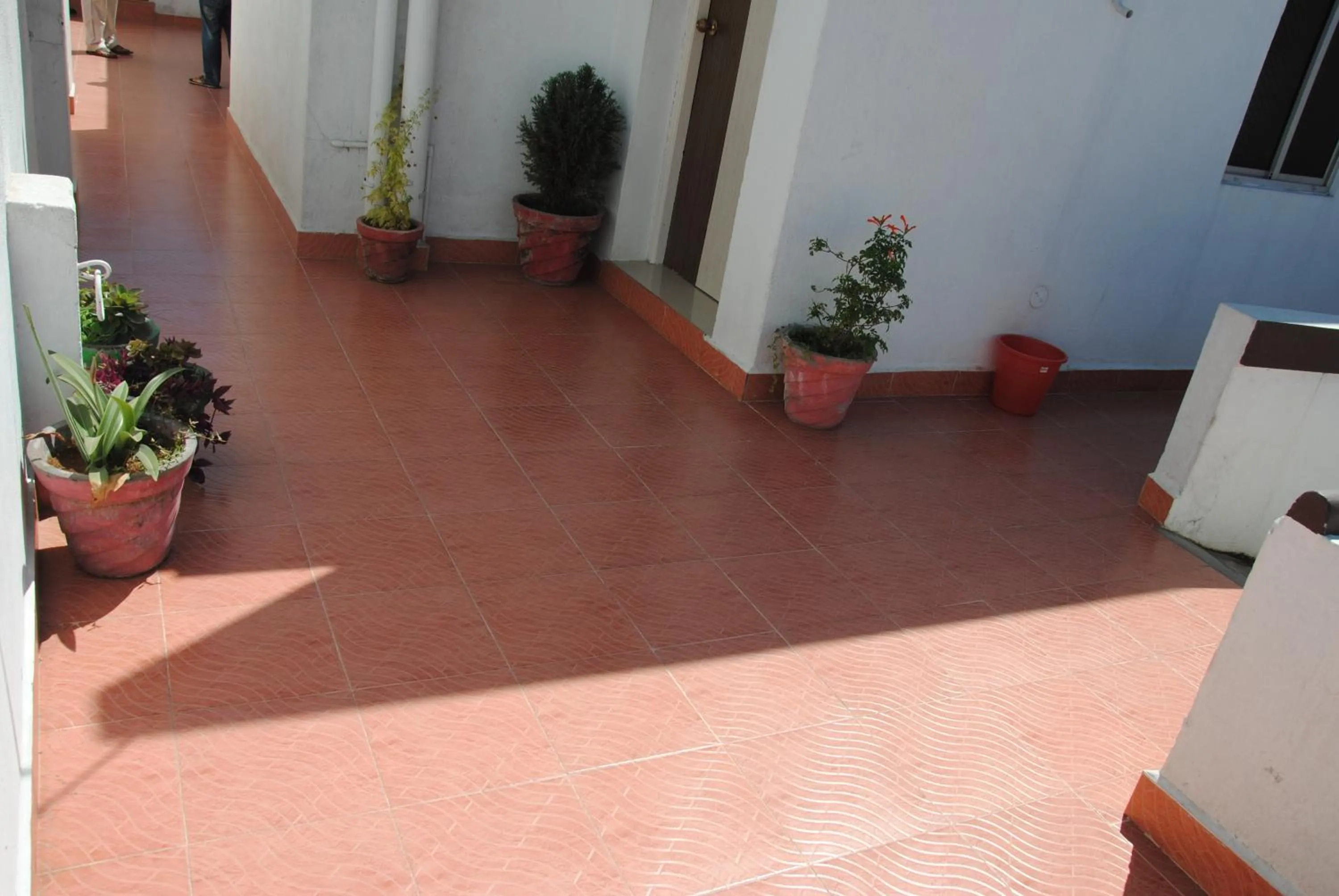 Garden in Just Guest House, Chennai Airport