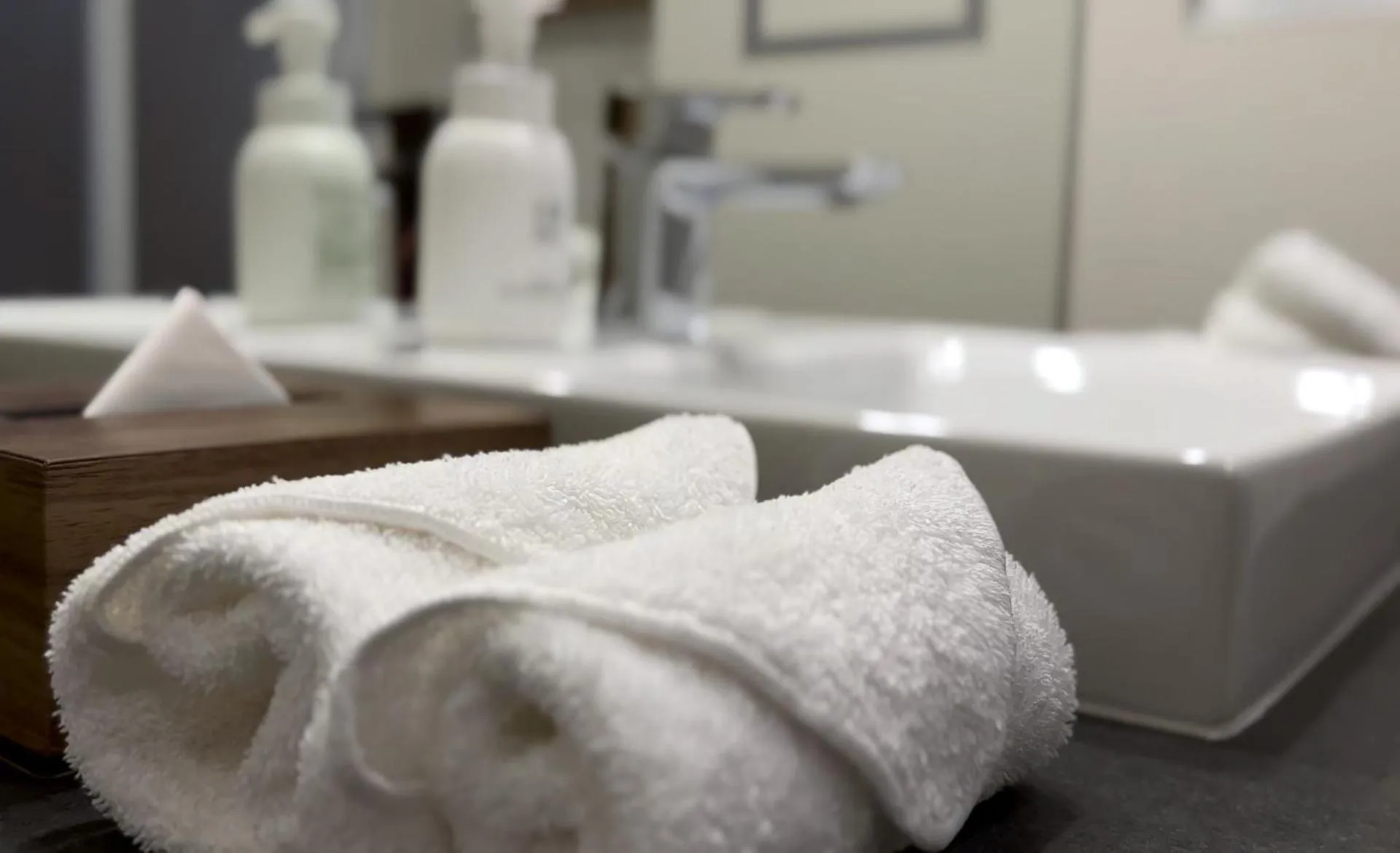 PROSTYLE RYOKAN TOKYO ASAKUSA