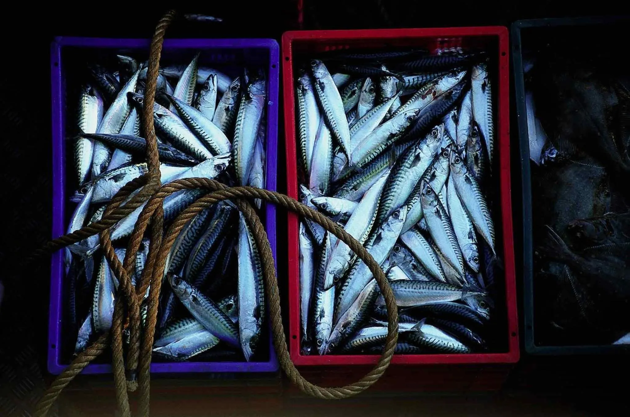 Other in ibis Styles Ouistreham