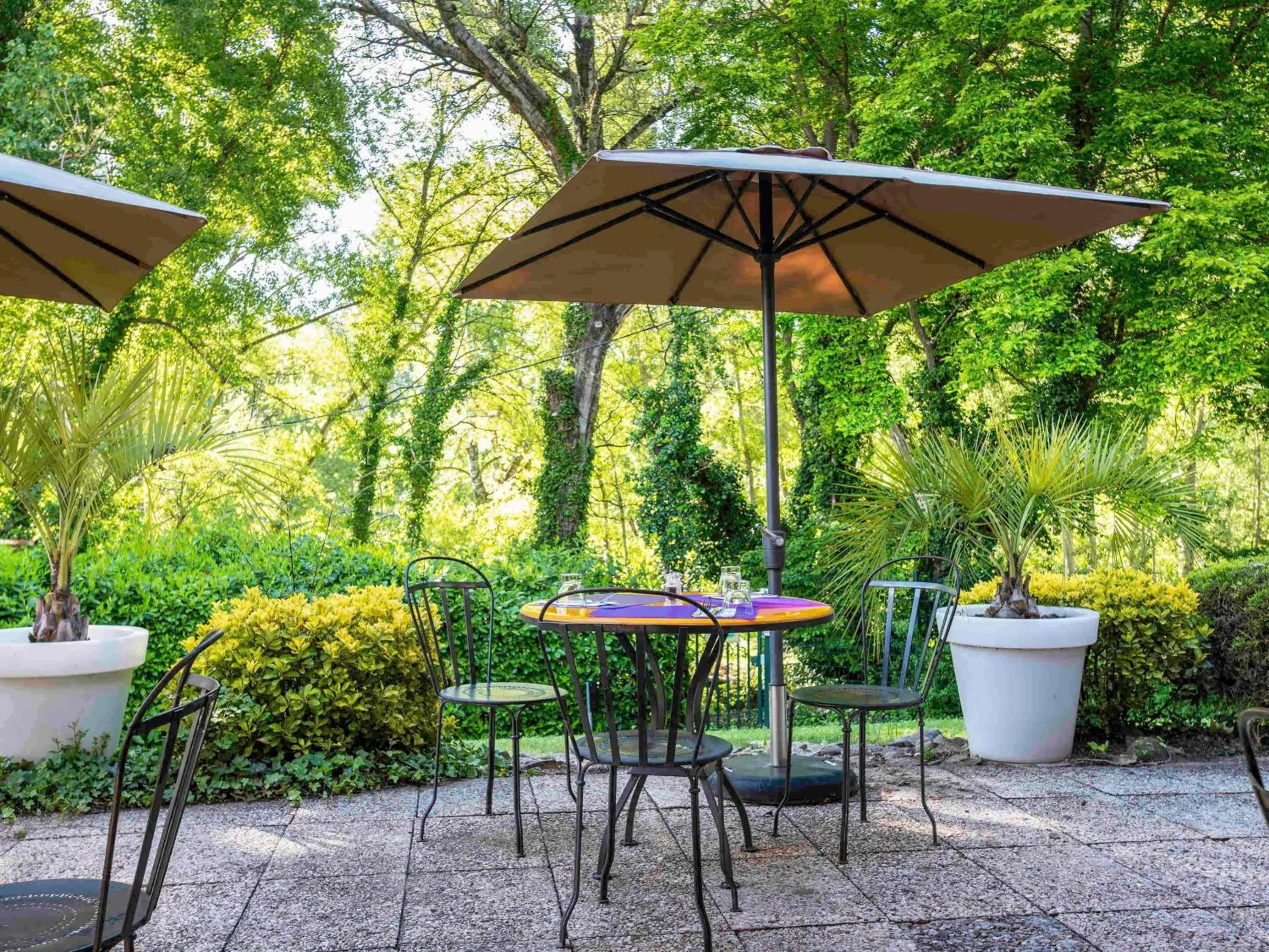 Restaurant/places to eat in Novotel Aix-en-Provence Pont de L'Arc