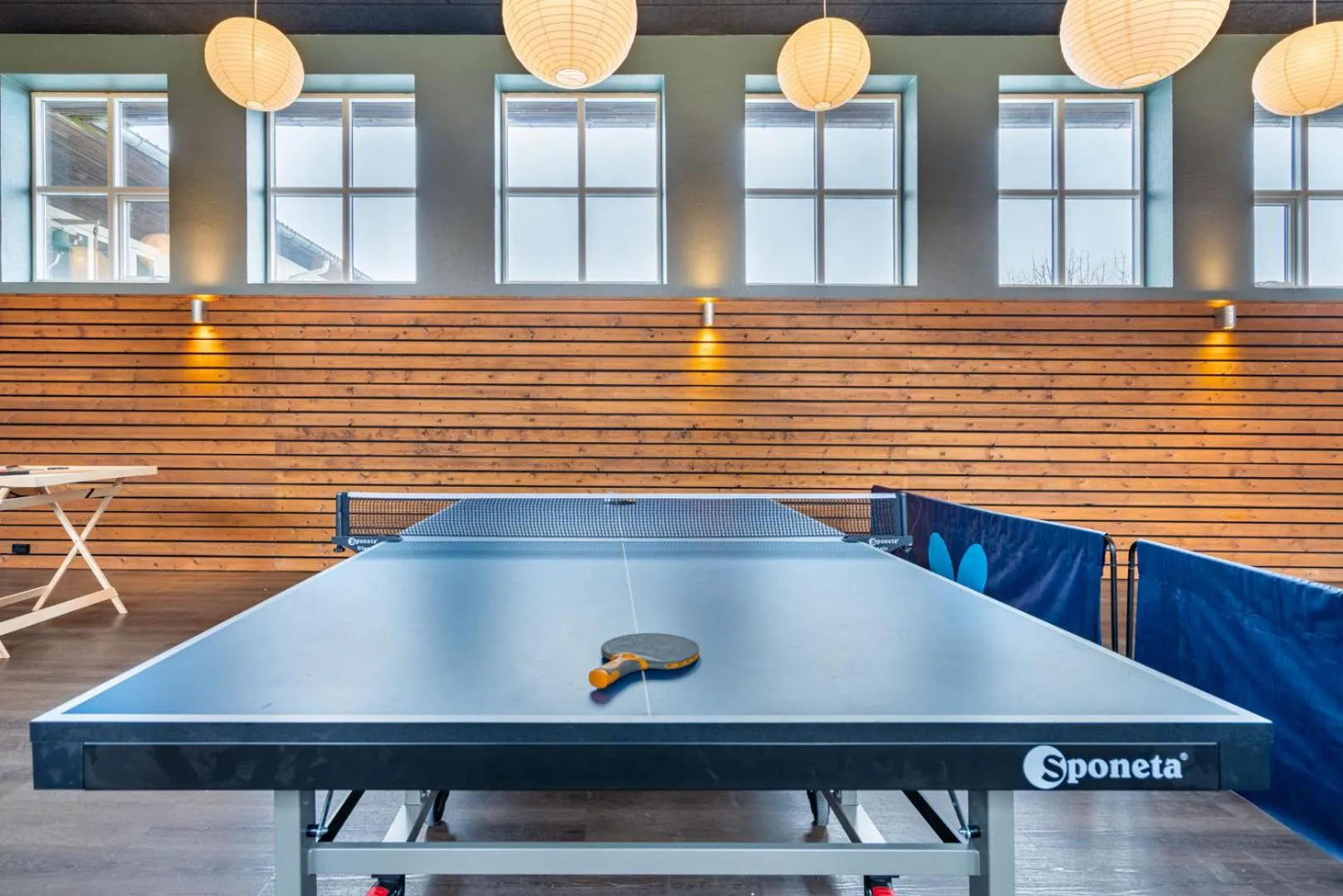 Activities in Lindvig - Ferie i naturen