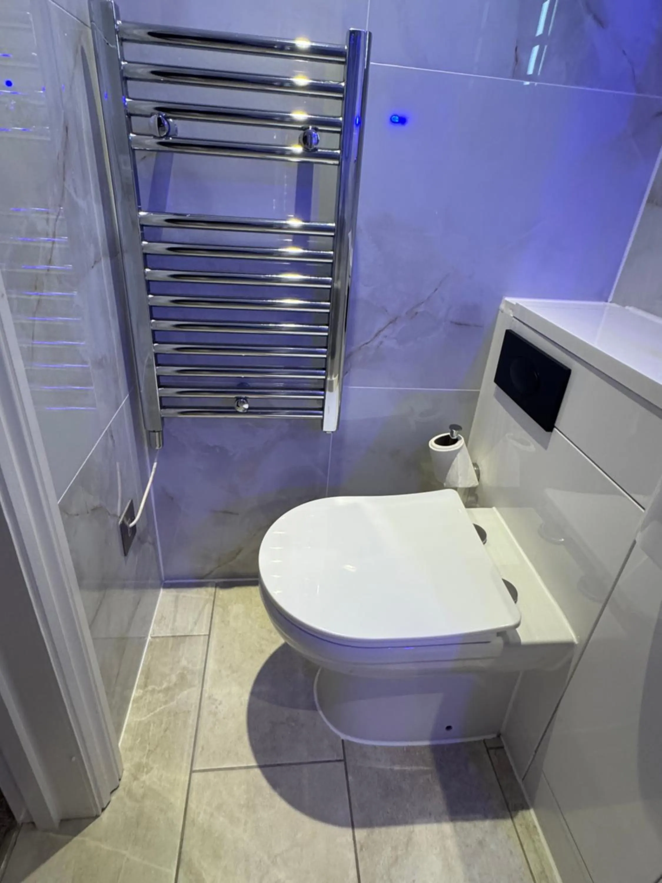 Toilet in The Shoreditch Inn