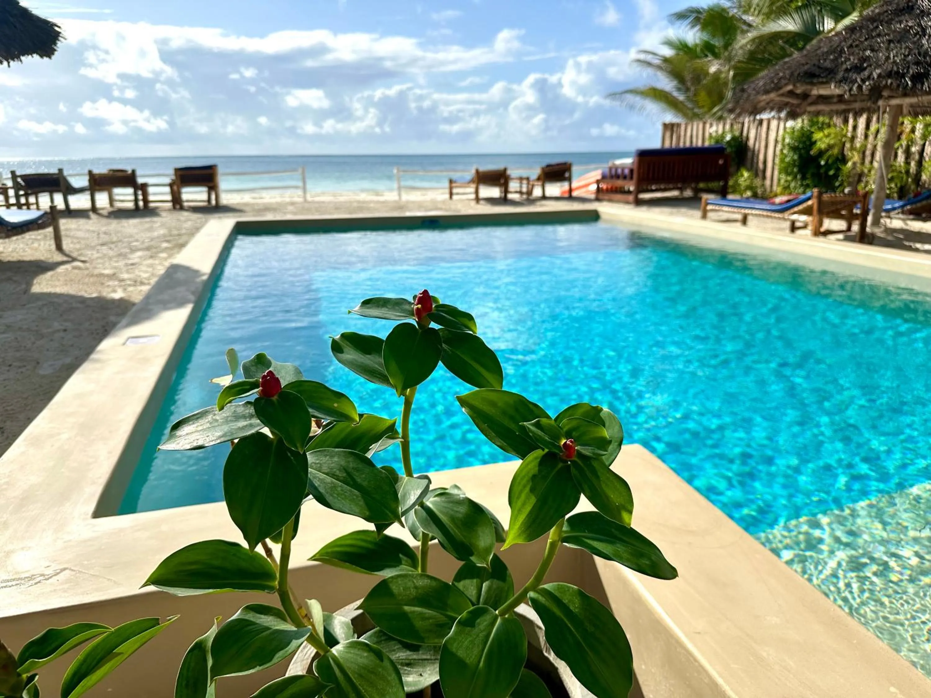 Property building in The African Paradise Beach Hotel