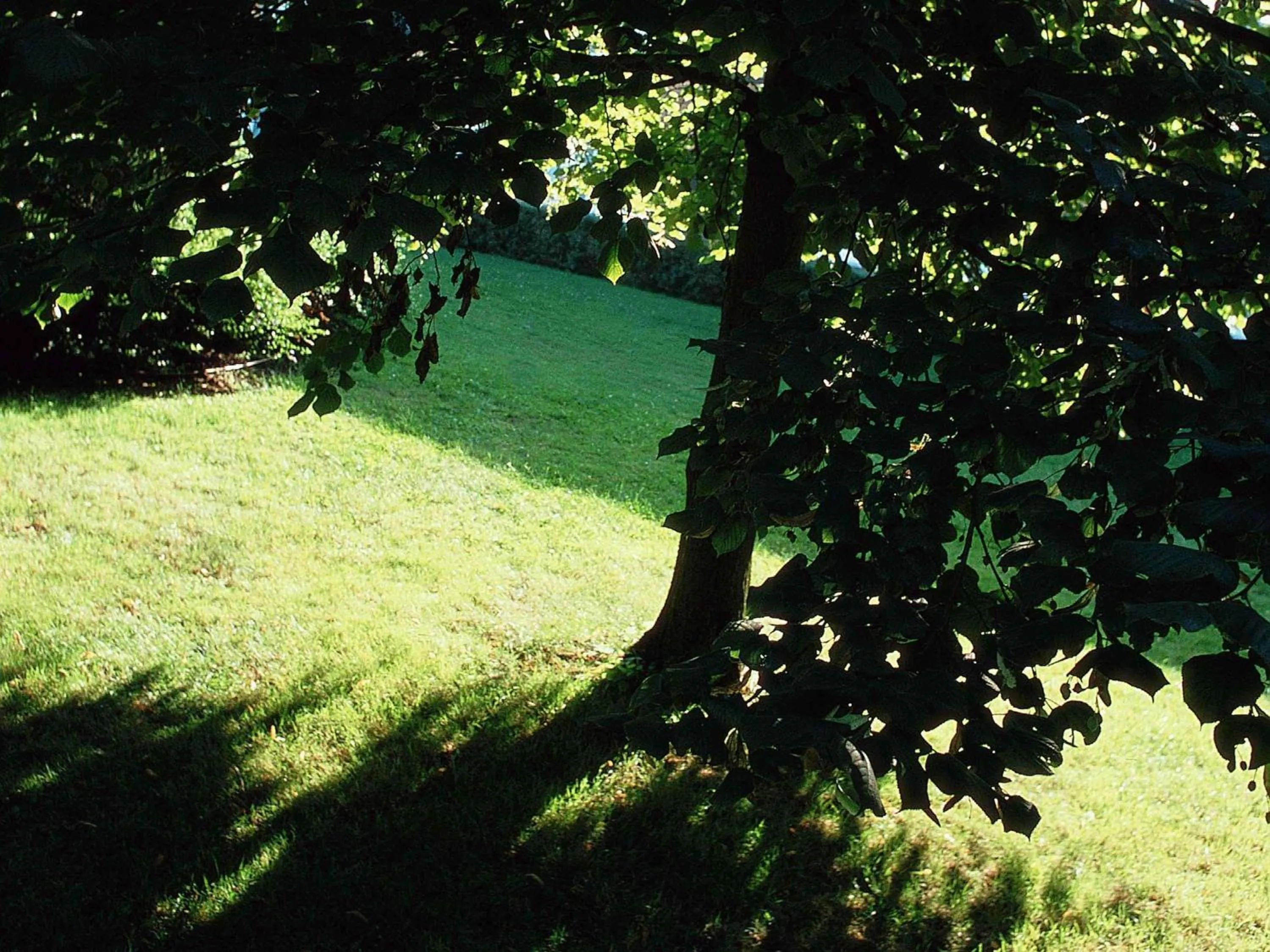 Other in Novotel Metz Amnéville