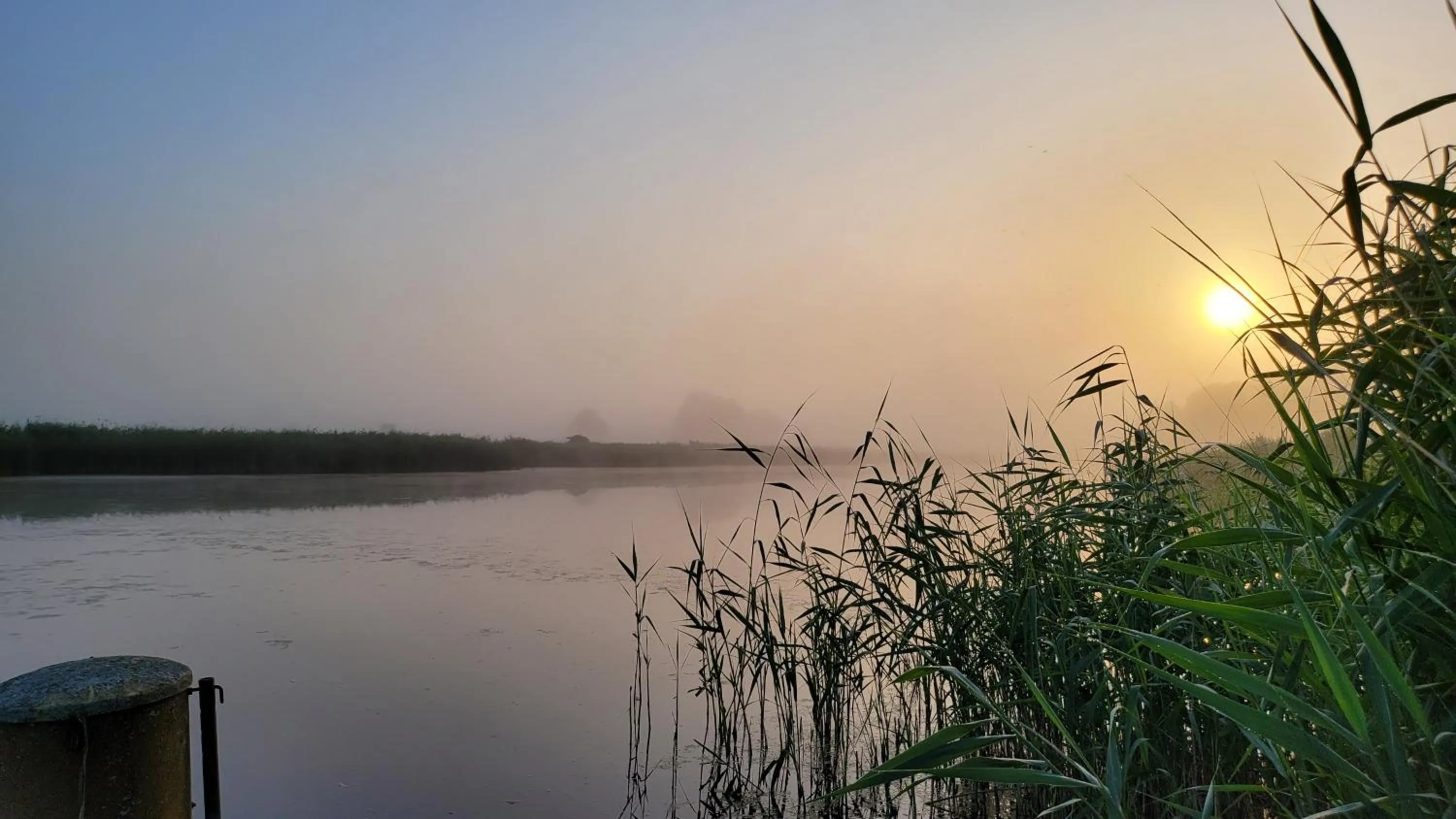 Natural landscape in Villa Dudziak
