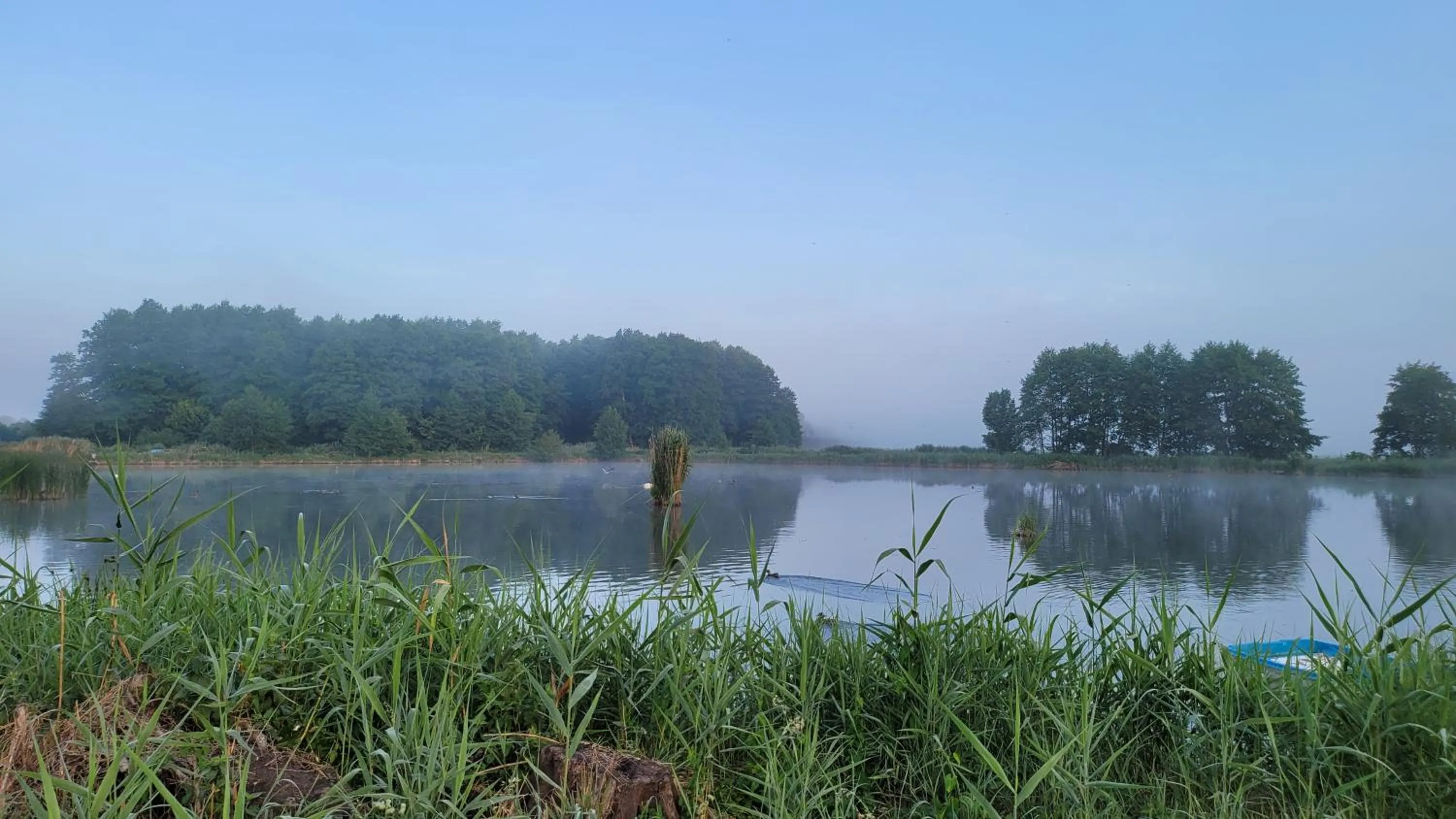 Natural landscape in Villa Dudziak