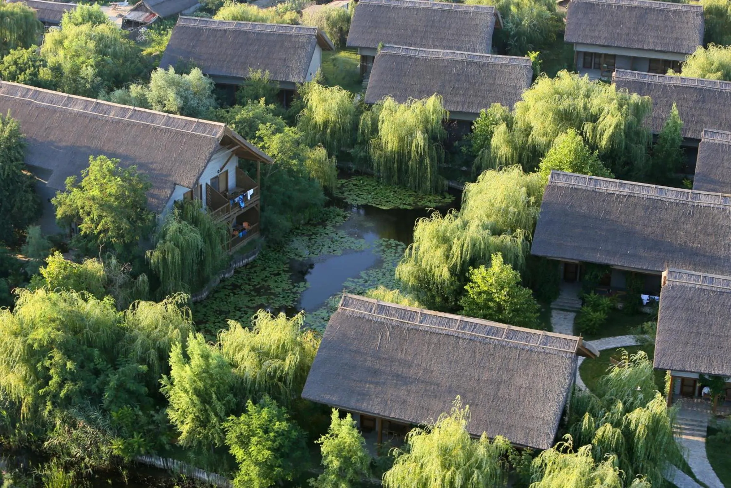 Natural landscape in Green Village Resort