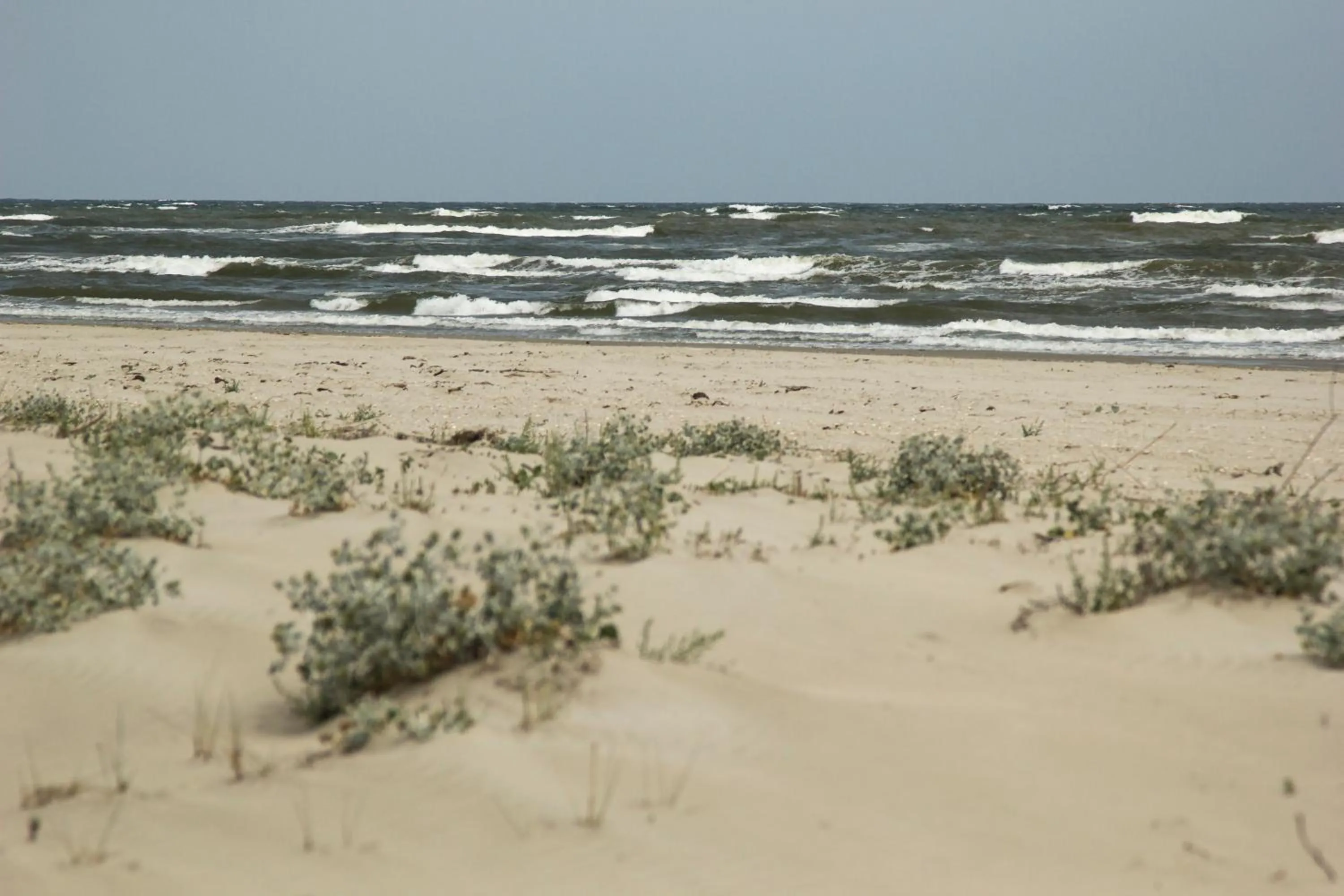 Beach in Green Village Resort