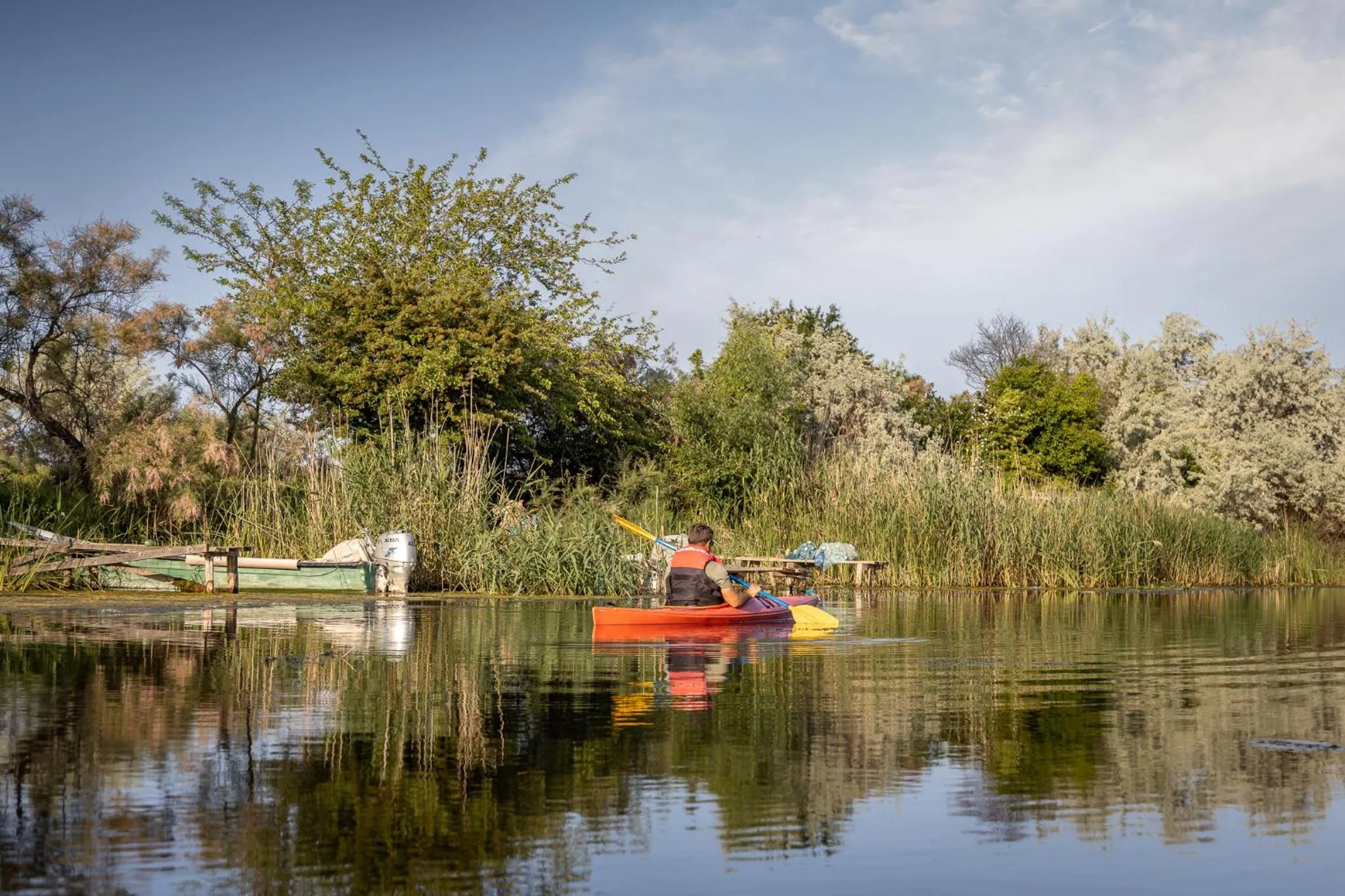 Natural landscape in Green Village Resort