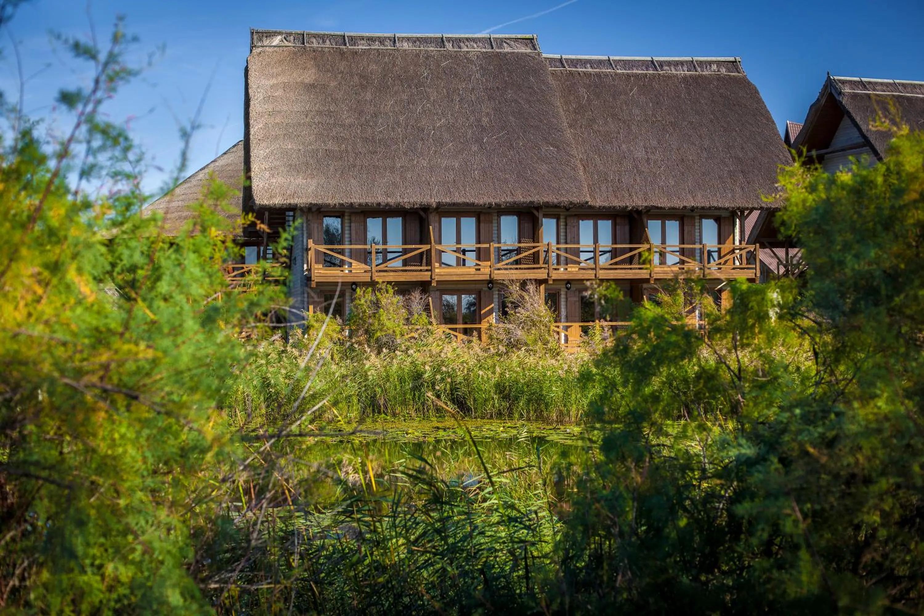 Natural landscape in Green Village Resort