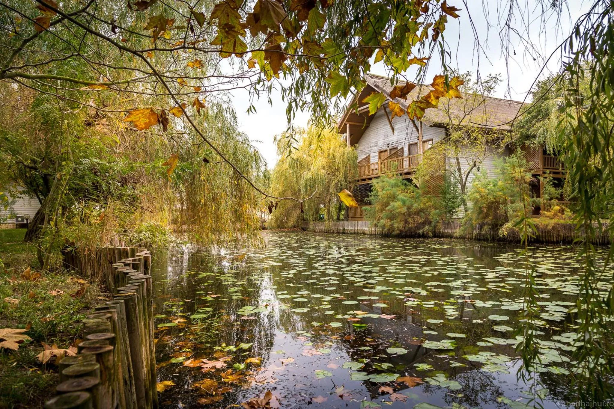 Lake view in Green Village Resort