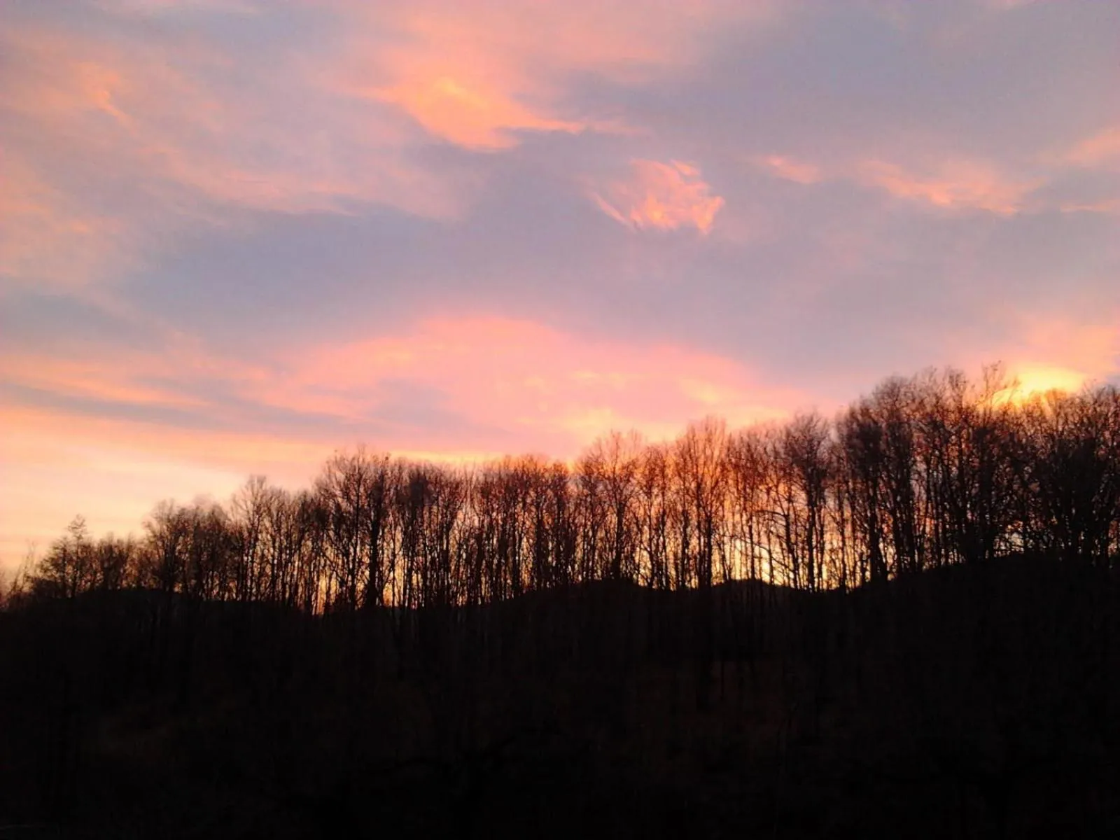Appartamento La Casa nel Bosco