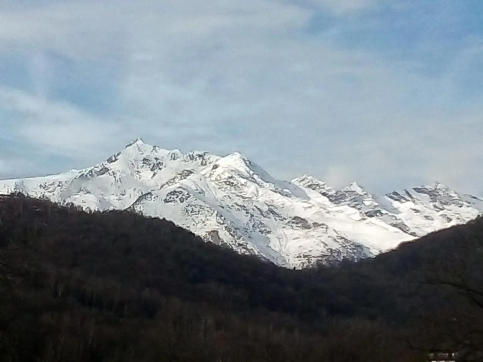 Appartamento La Casa nel Bosco