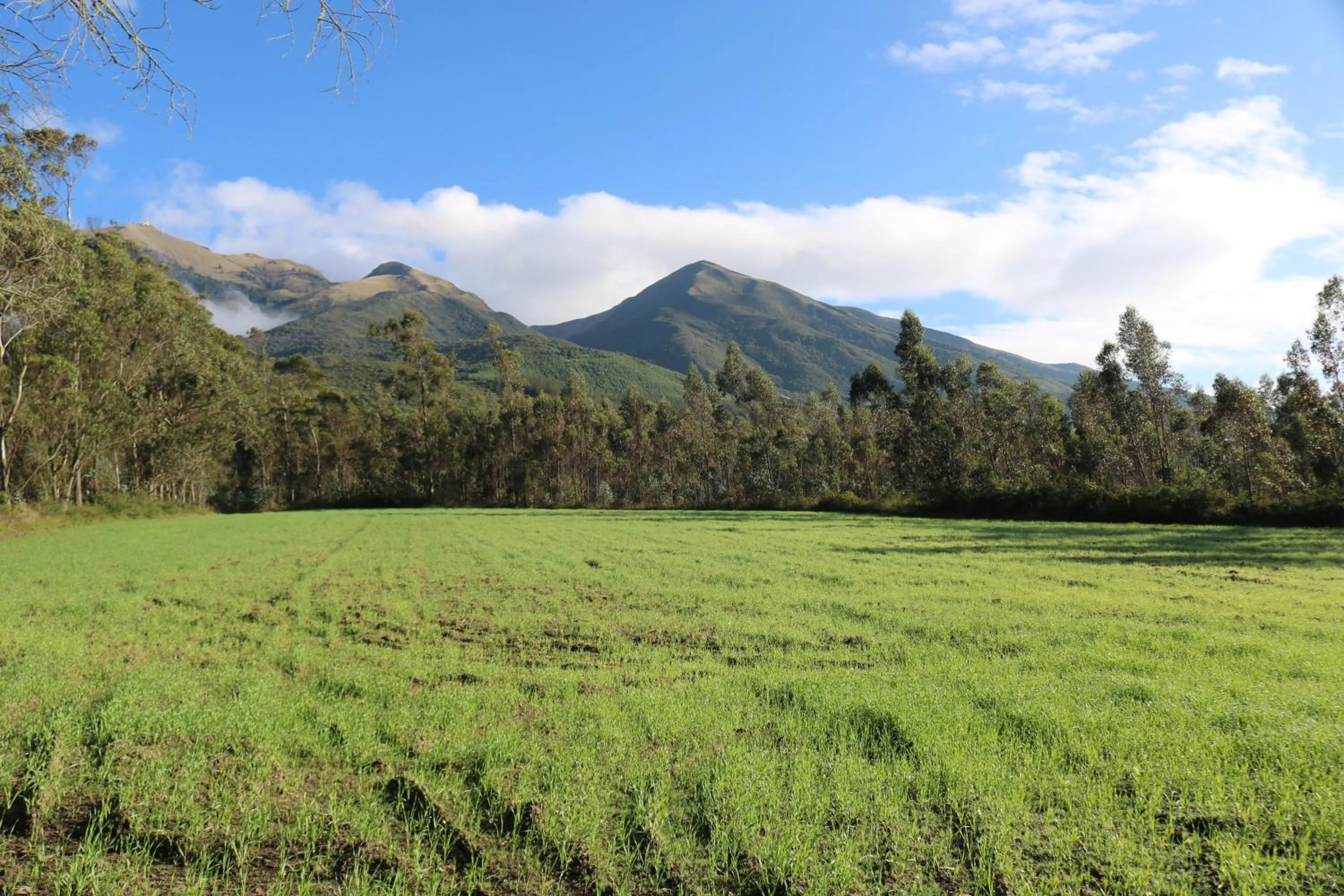 View (from property/room) in Hacienda San Isidro Trails & Experiences