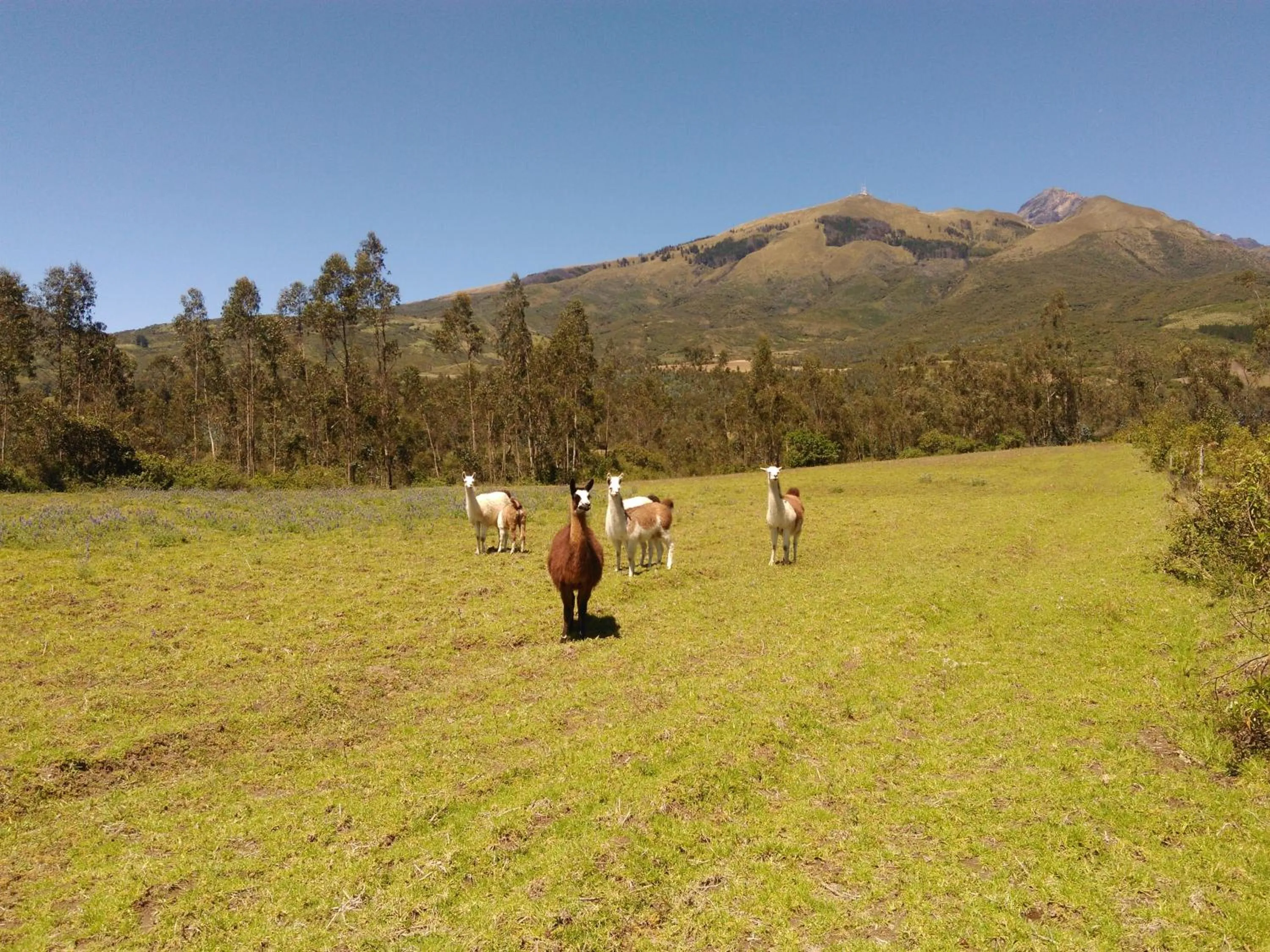 Activities in Hacienda San Isidro Trails & Experiences