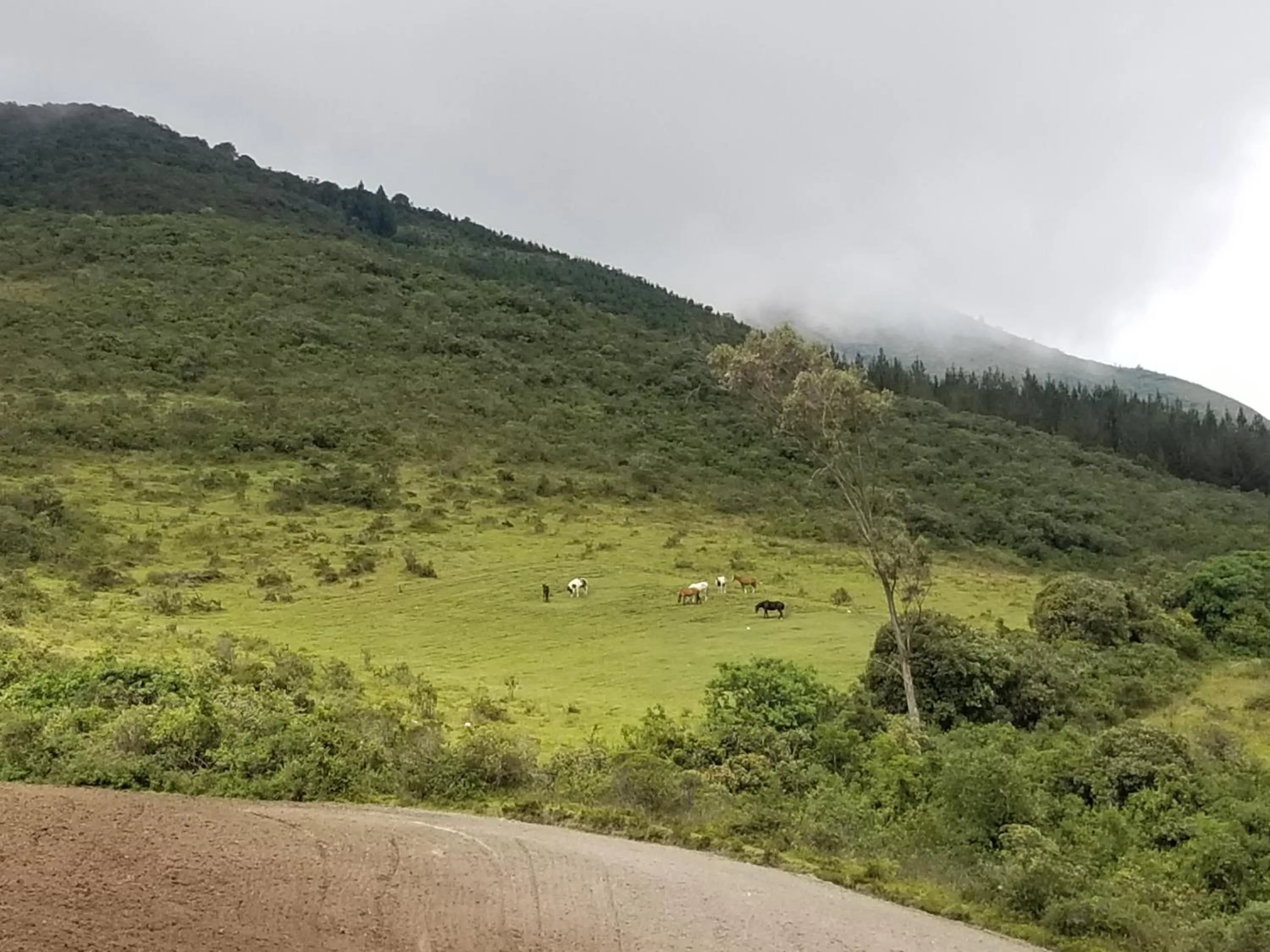 Natural landscape in Hacienda San Isidro Trails & Experiences