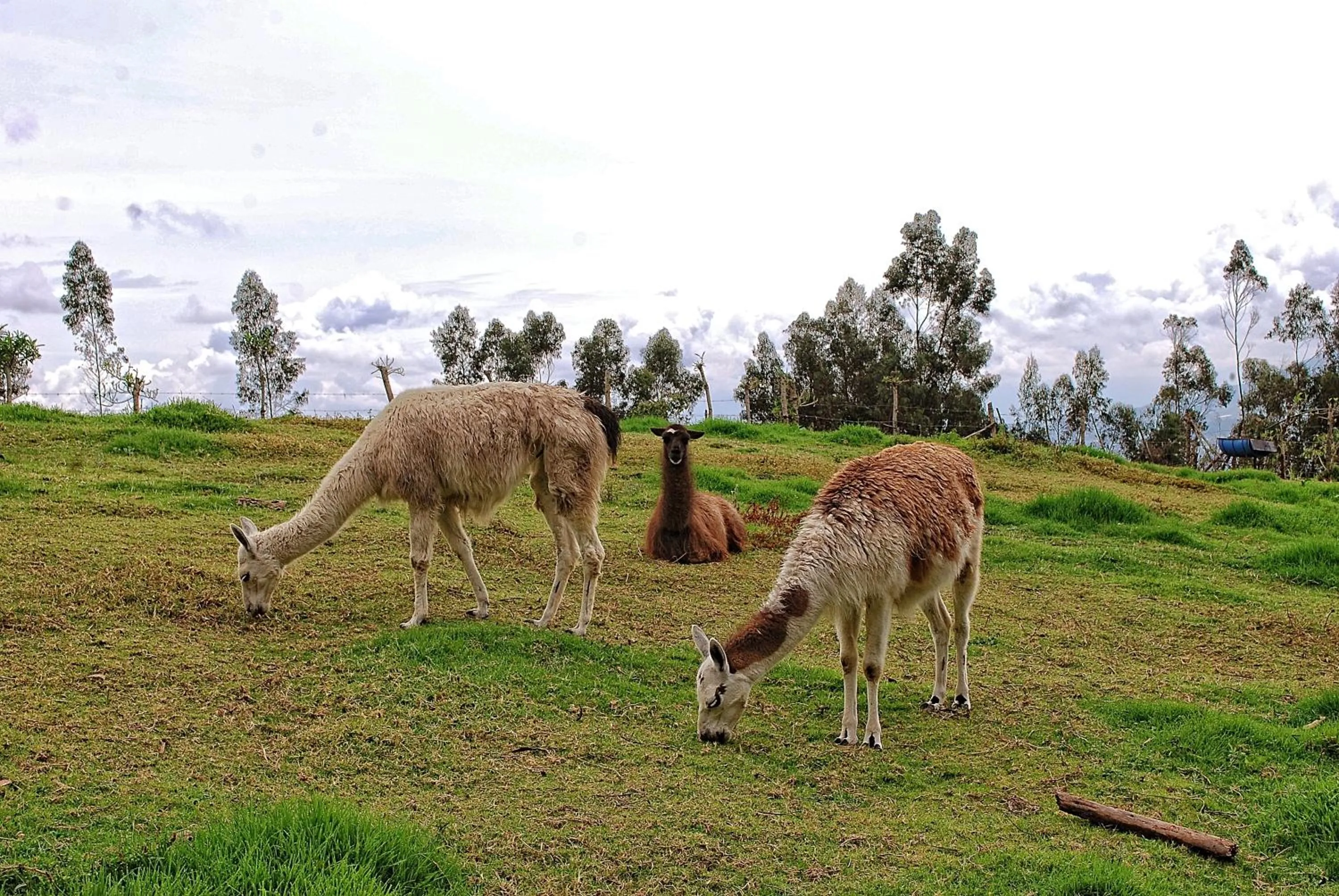 Natural landscape in Hacienda San Isidro Trails & Experiences
