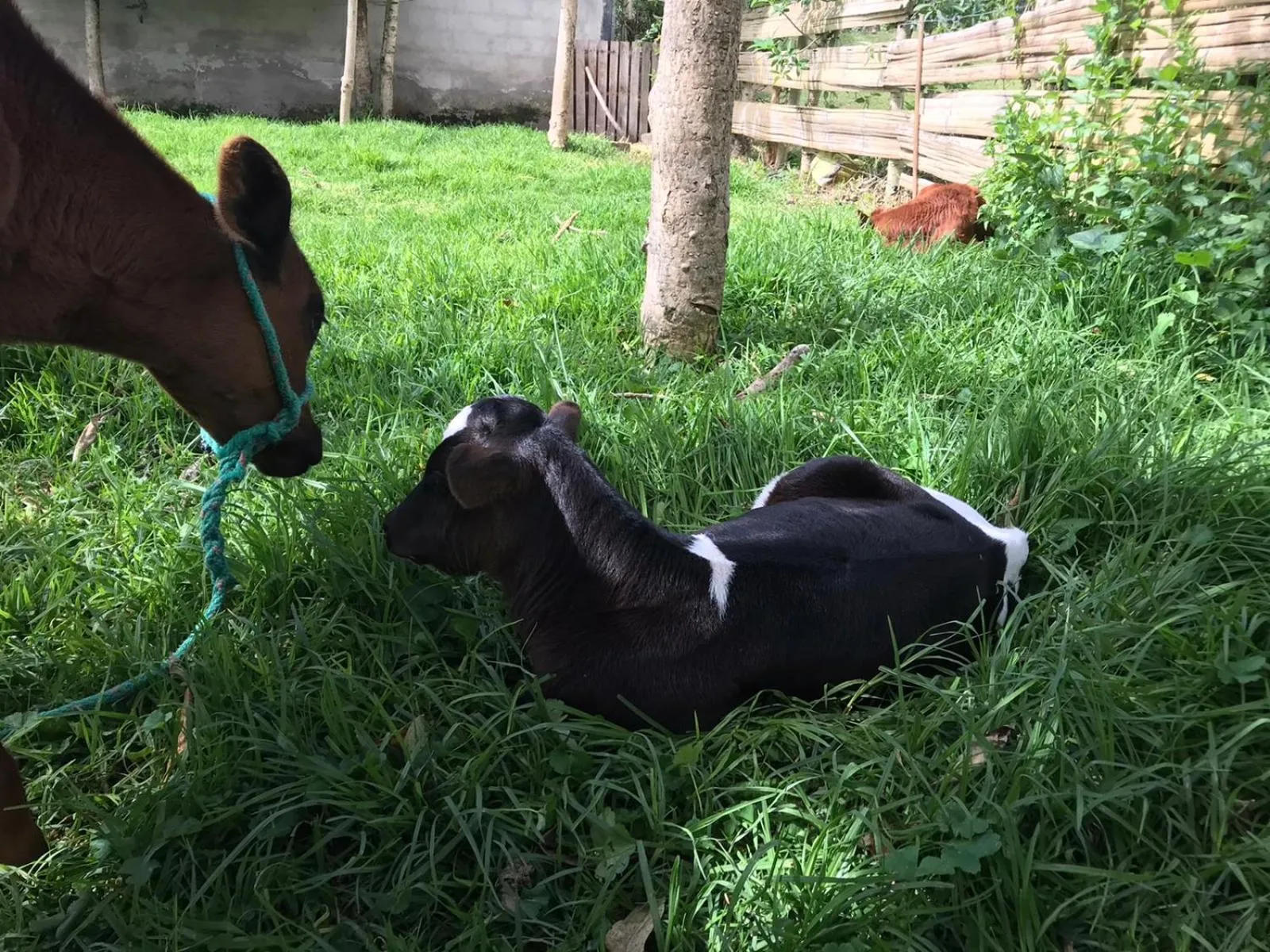 Hacienda San Isidro Trails & Experiences