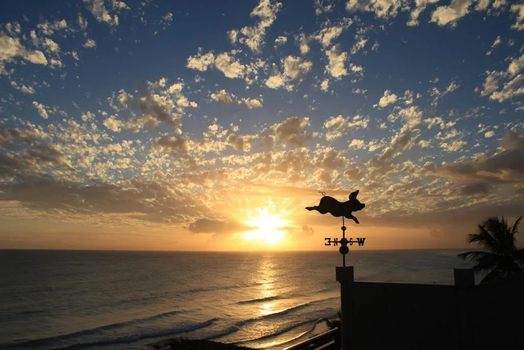 White Sands Beach Condos