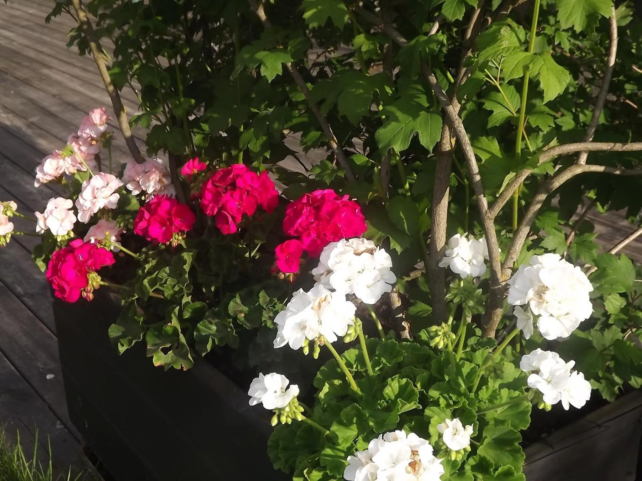 Spring in Hotel Bersè