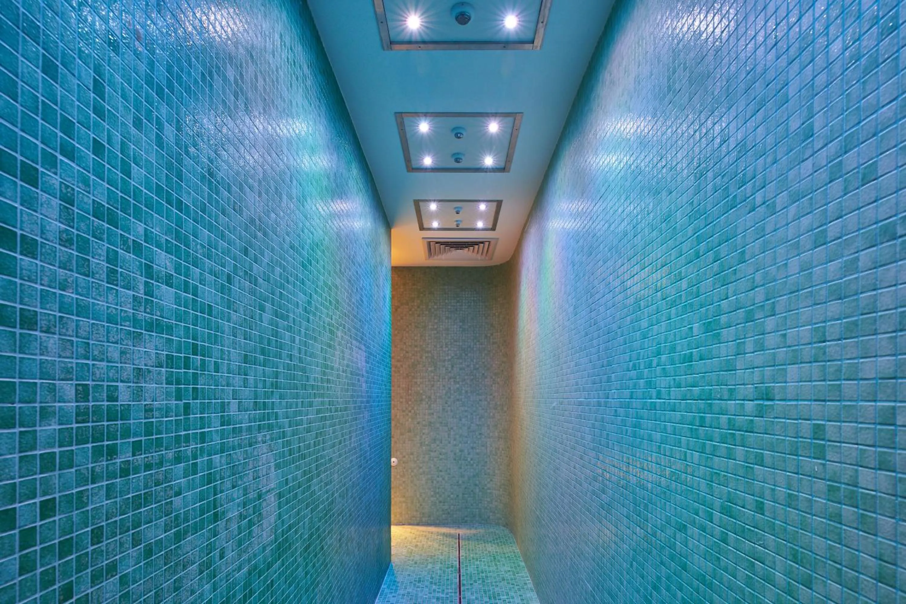 Spa and wellness centre/facilities in Hotel & Spa Vacances Bleues Le Splendid