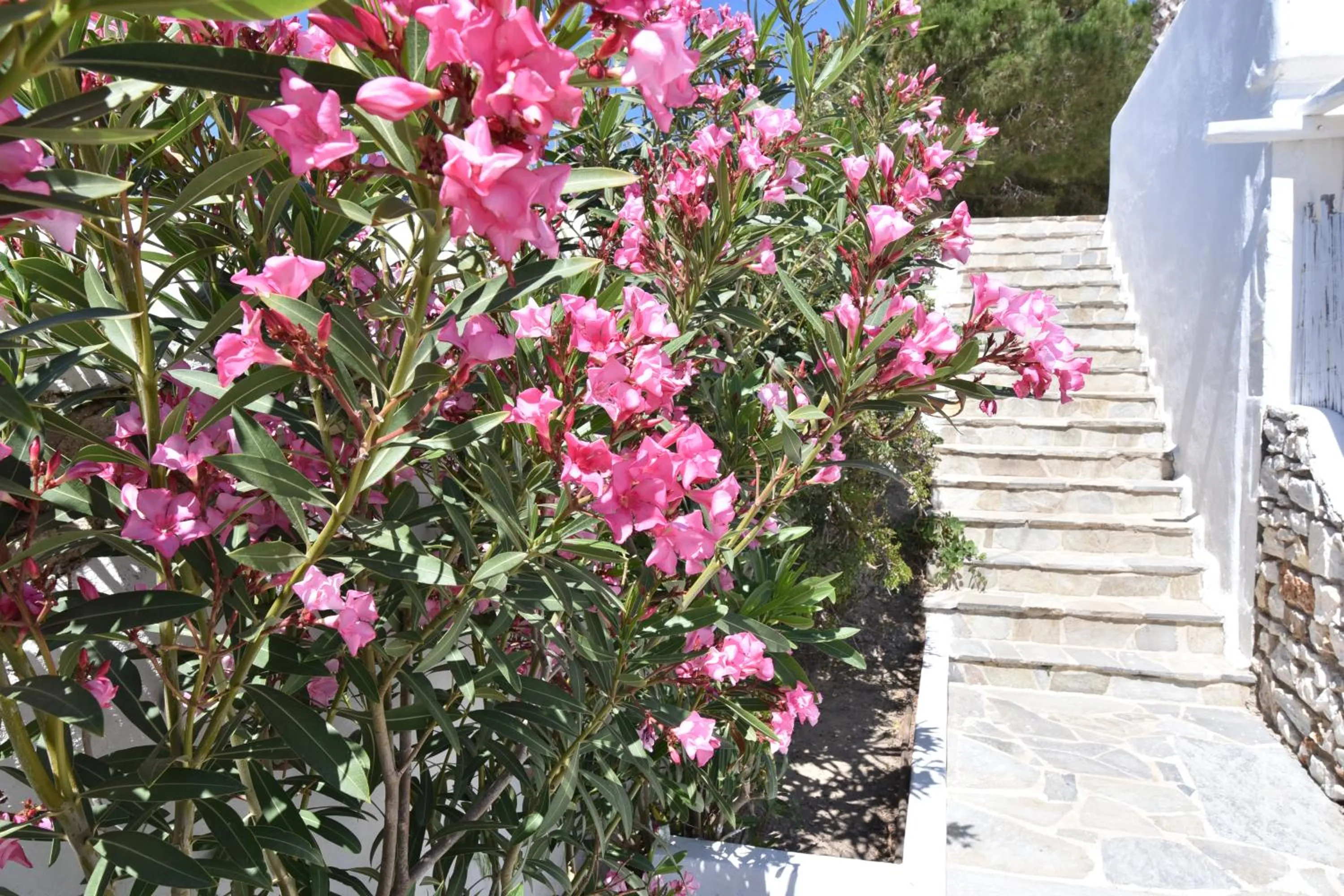 BBQ facilities in Paradiso Boutique