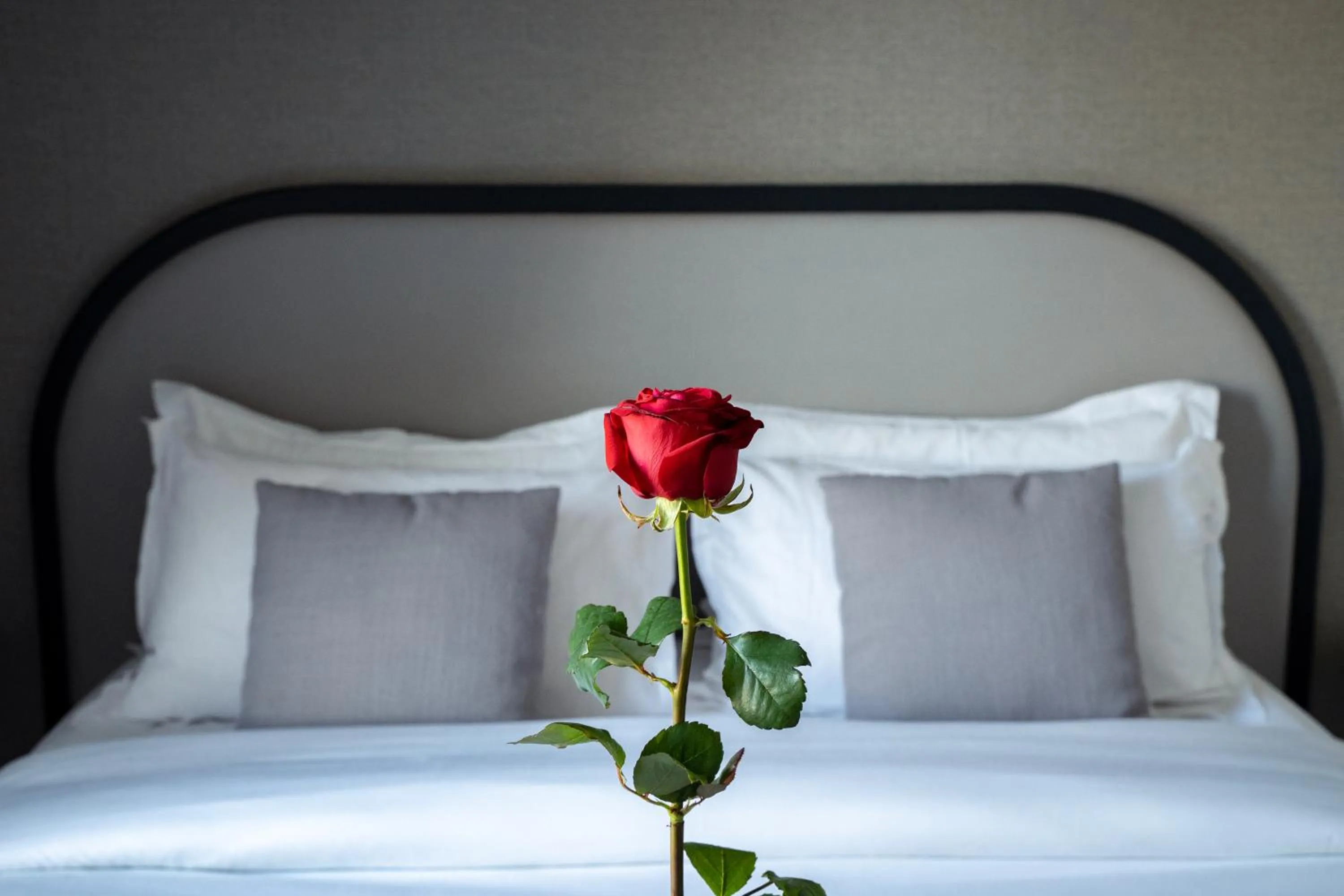 Decorative detail, Bed in Lenox Montparnasse