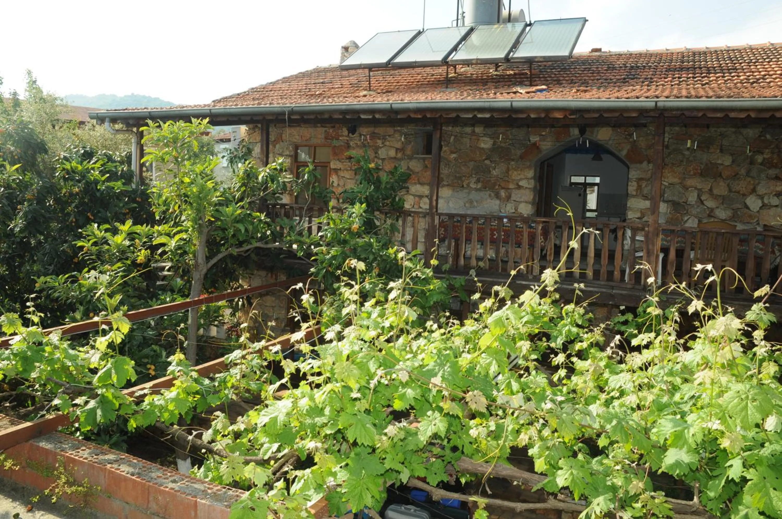 Day in Likya Pansiyon