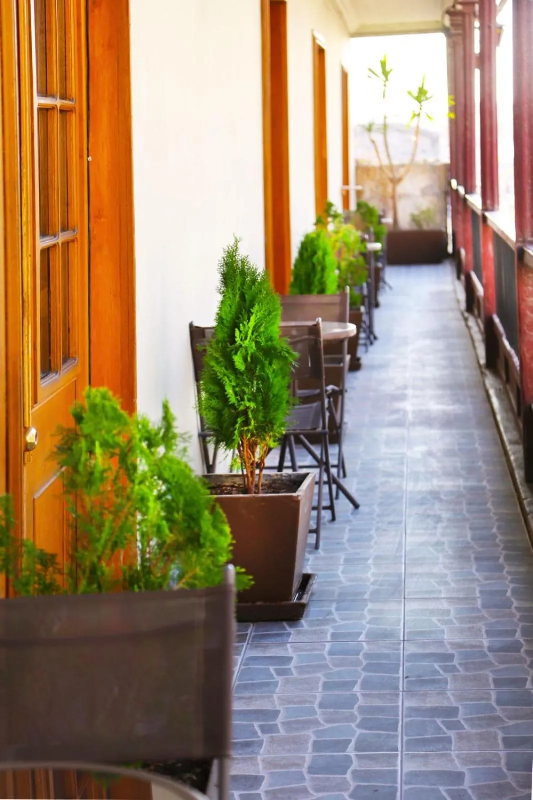 Balcony/Terrace in Hoteles Riviera Colonial