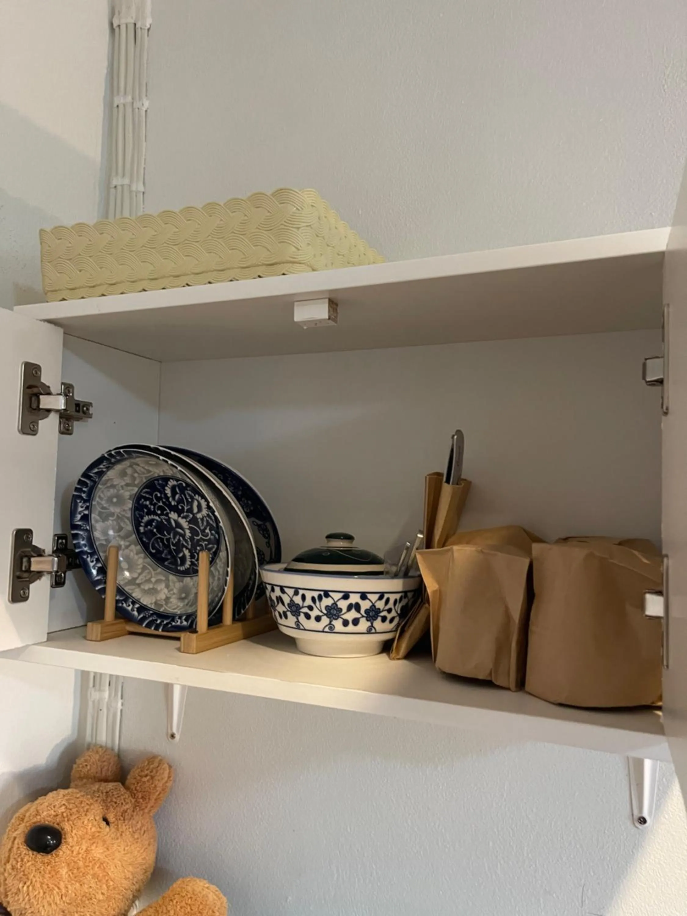 Area and facilities in Acozyposhtel