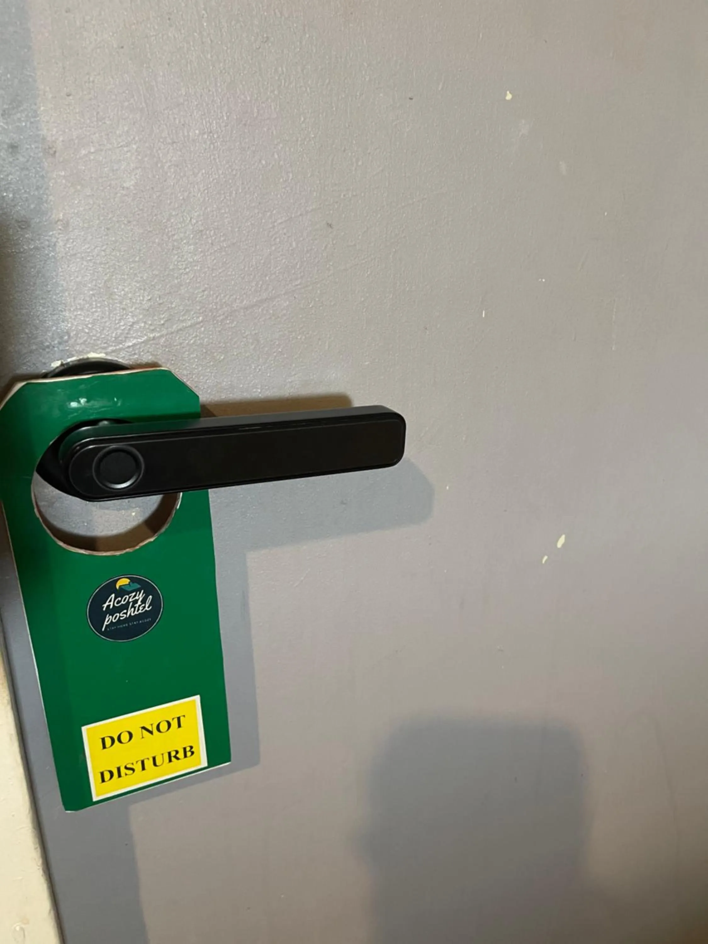 Property building in Acozyposhtel