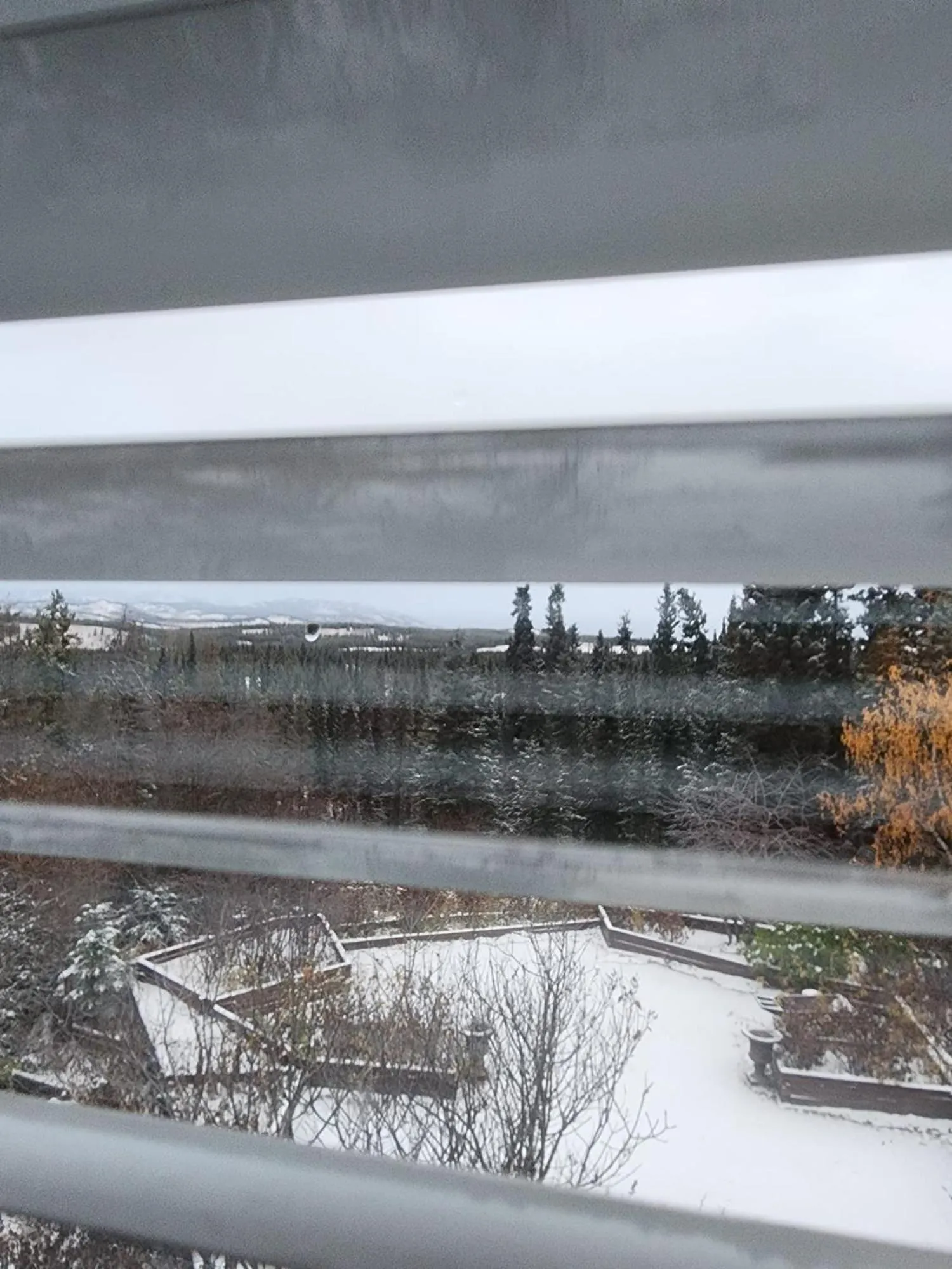 Natural landscape in Hidden Valley Bed and Breakfast