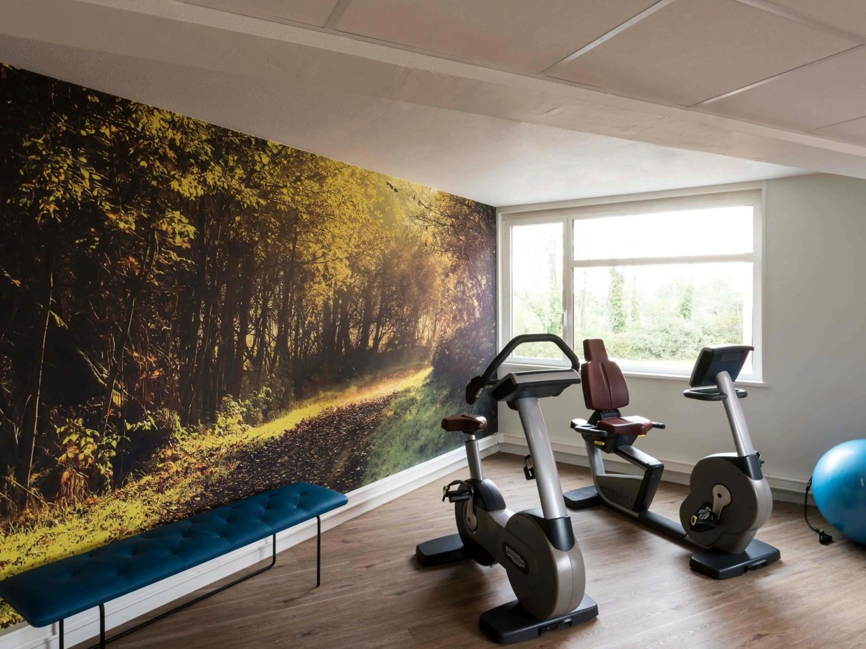 Fitness centre/facilities in Novotel Lyon Bron Meeting & Events