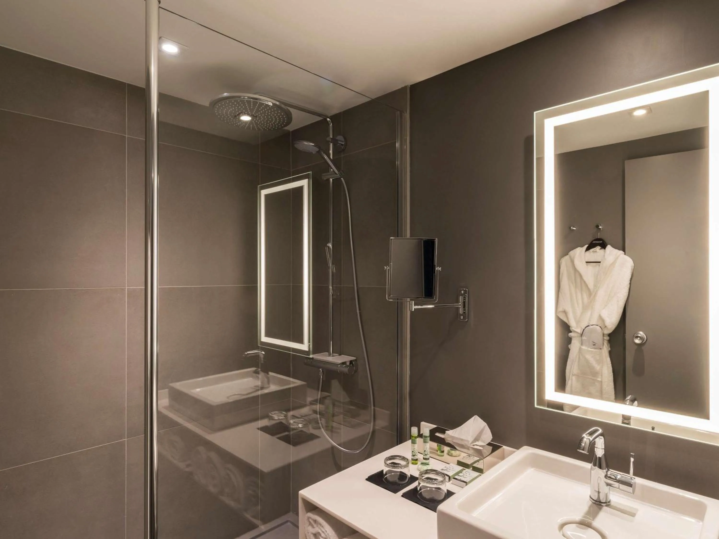 Shower in Novotel Lyon Bron Meeting & Events