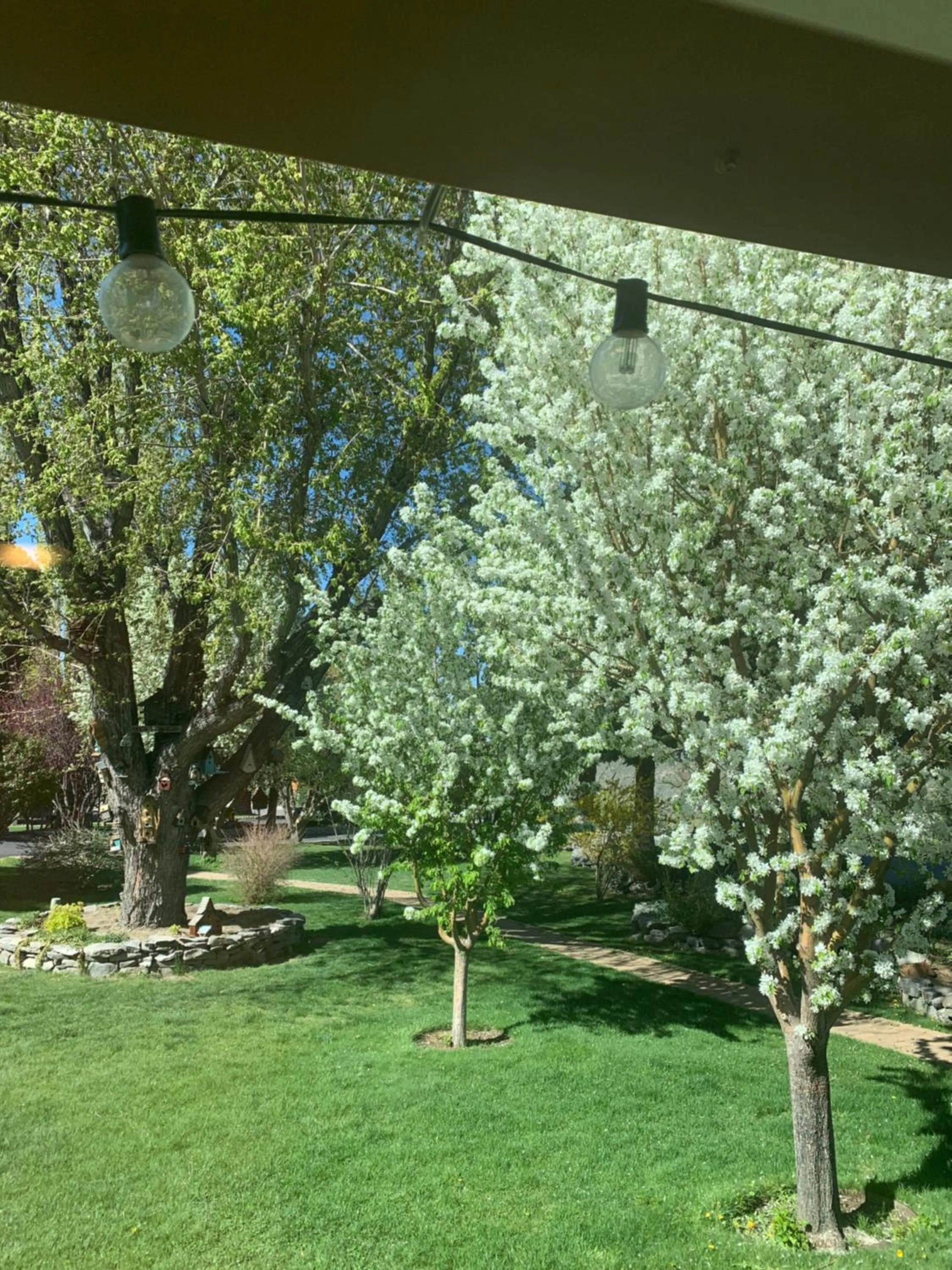 Property building in Lake View Lodge