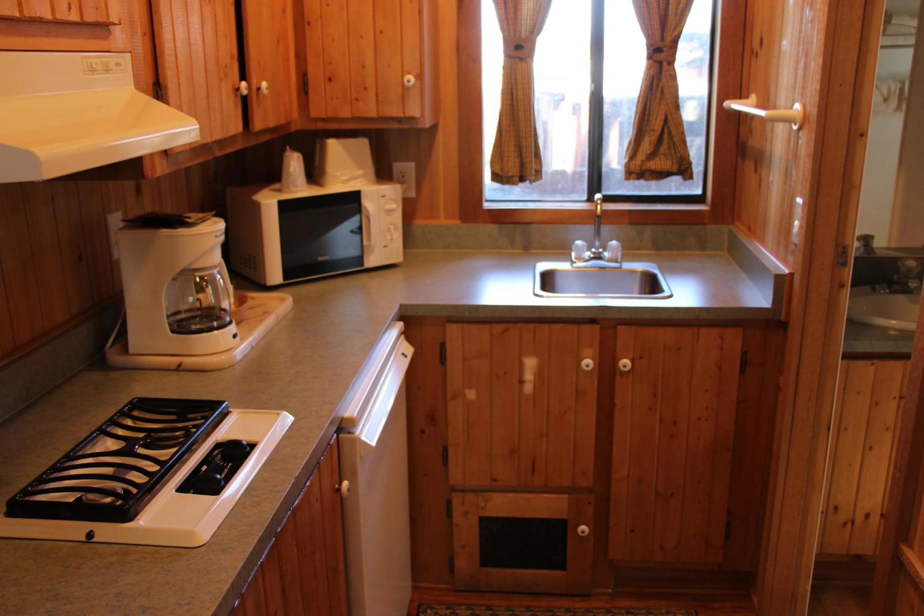 Kitchen or kitchenette in Lake View Lodge