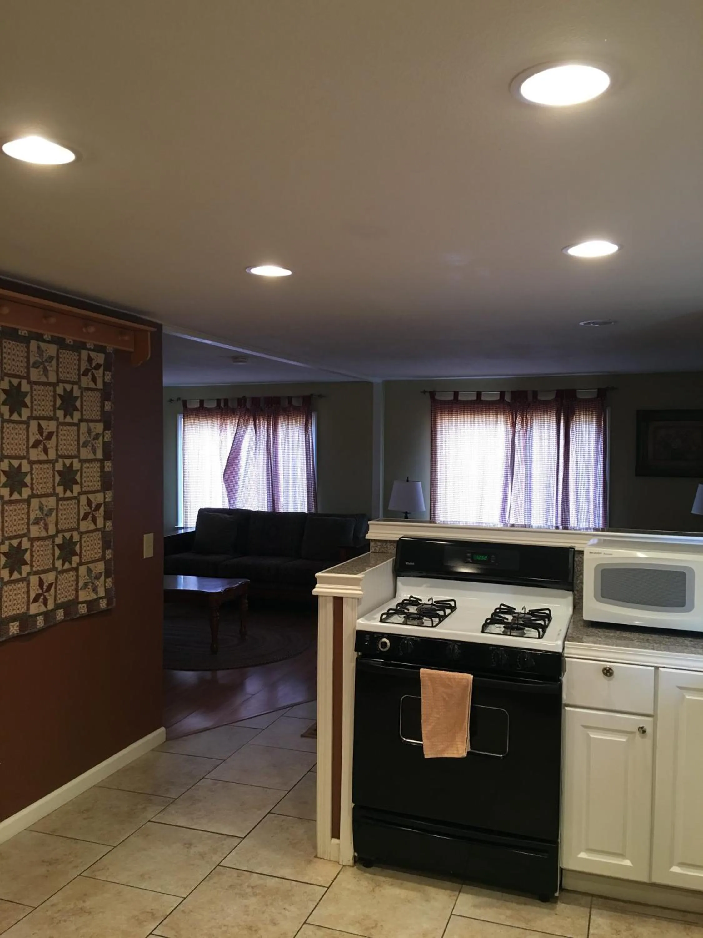 Kitchen or kitchenette in Lake View Lodge