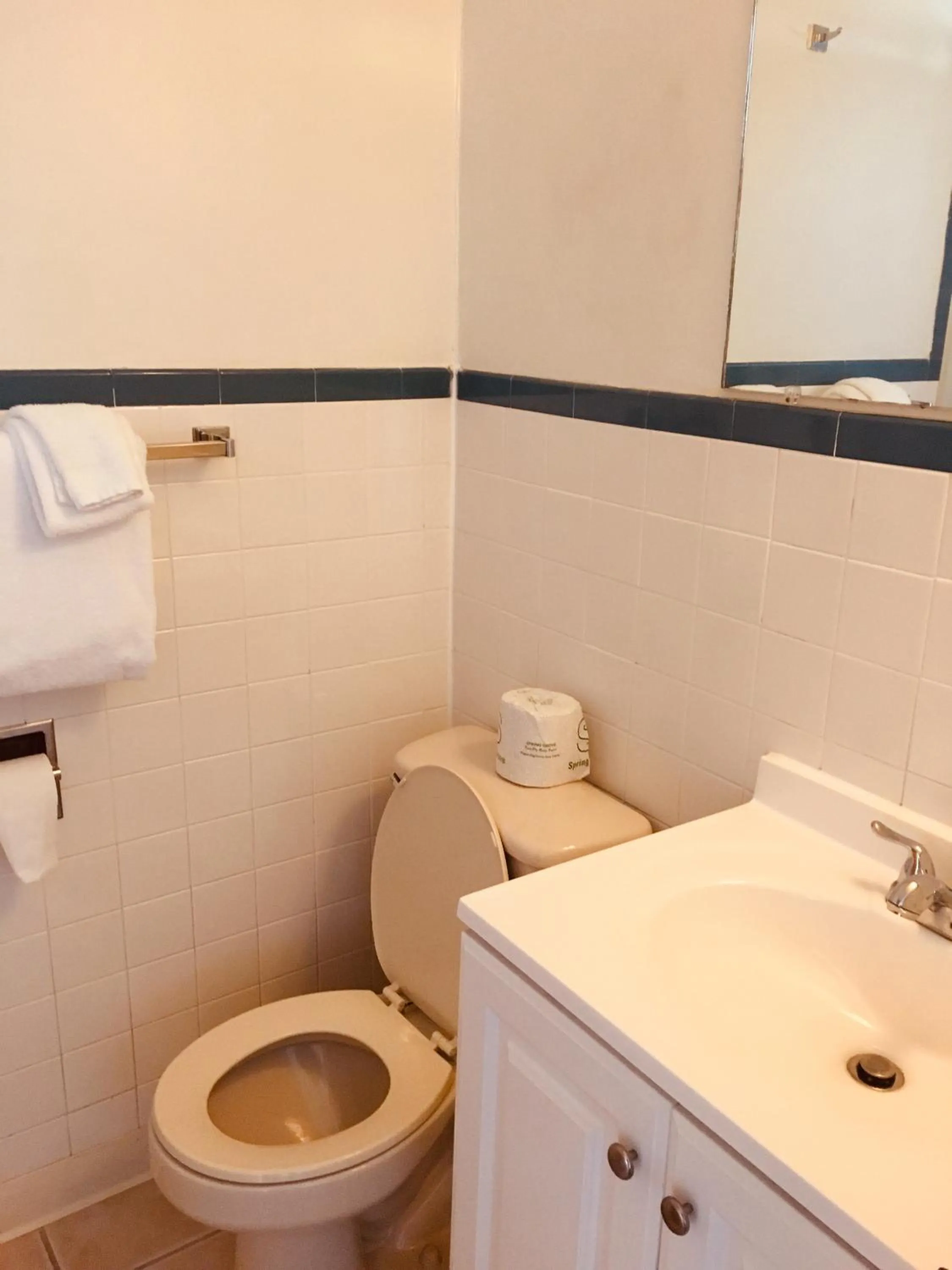 Bathroom in North Country American Inn