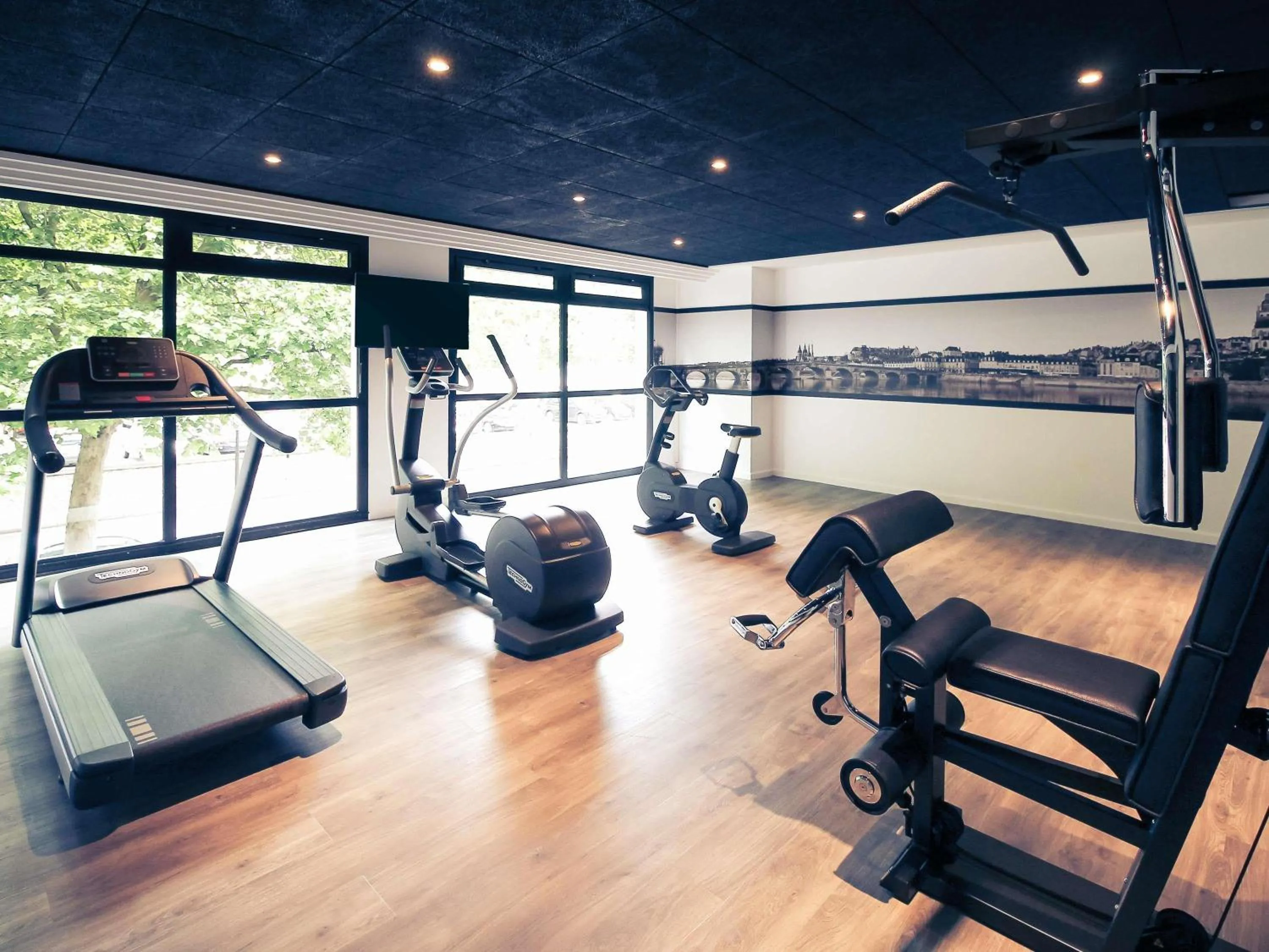 Other in Hotel Mercure Blois Centre