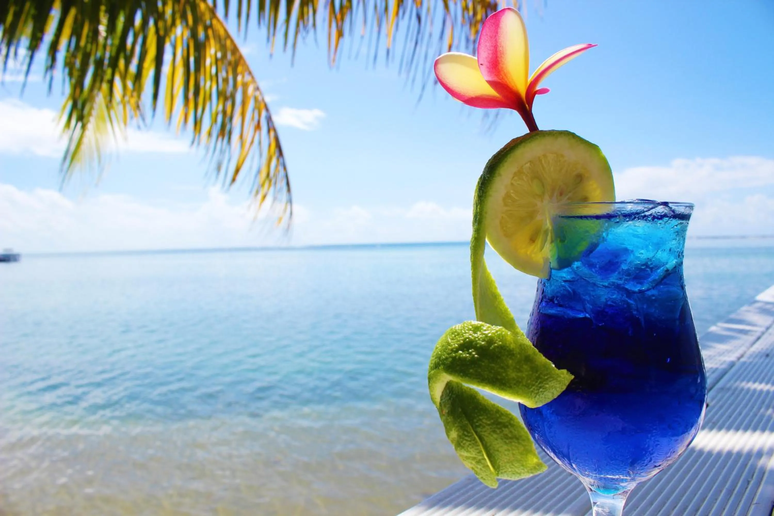 Lounge or bar in Le Uaina Beach Resort