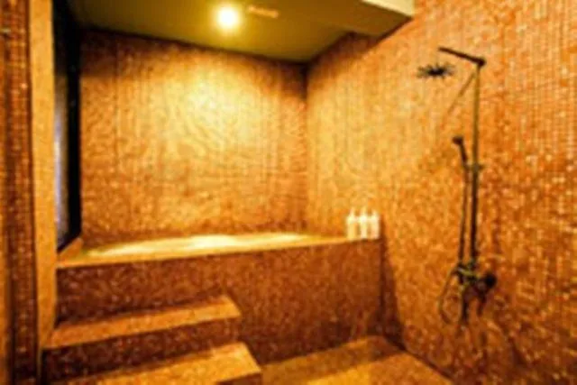 Shower in Hanamitsu Hotel & Spa